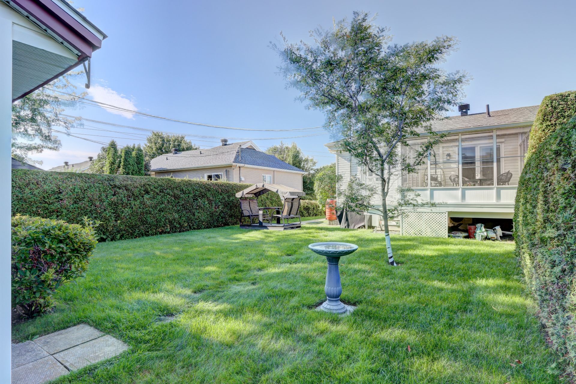 Backyard