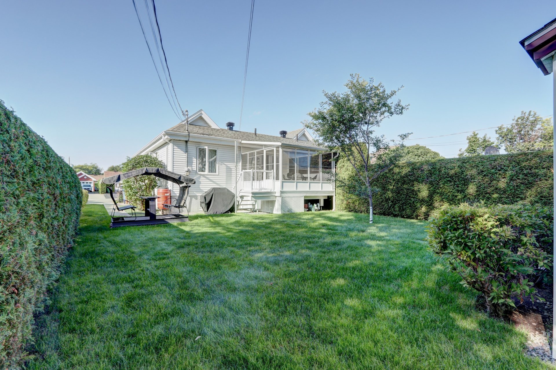 Backyard