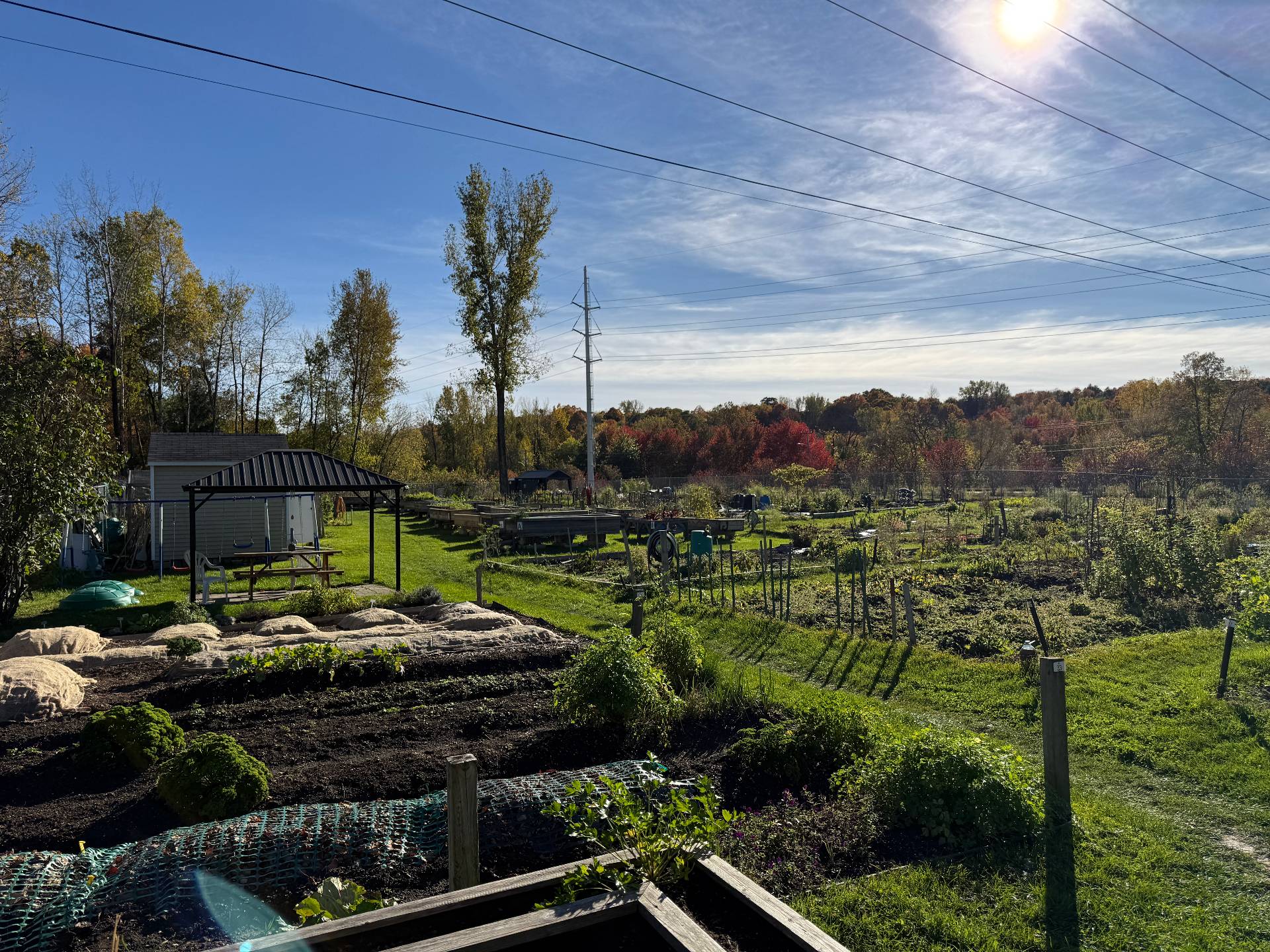 Jardin communautaire