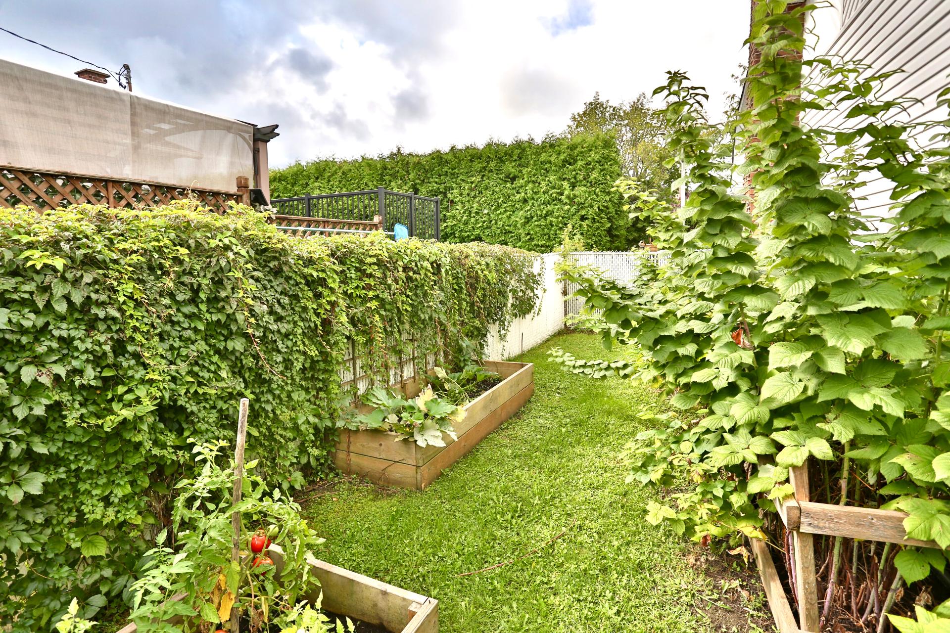 Jardin
