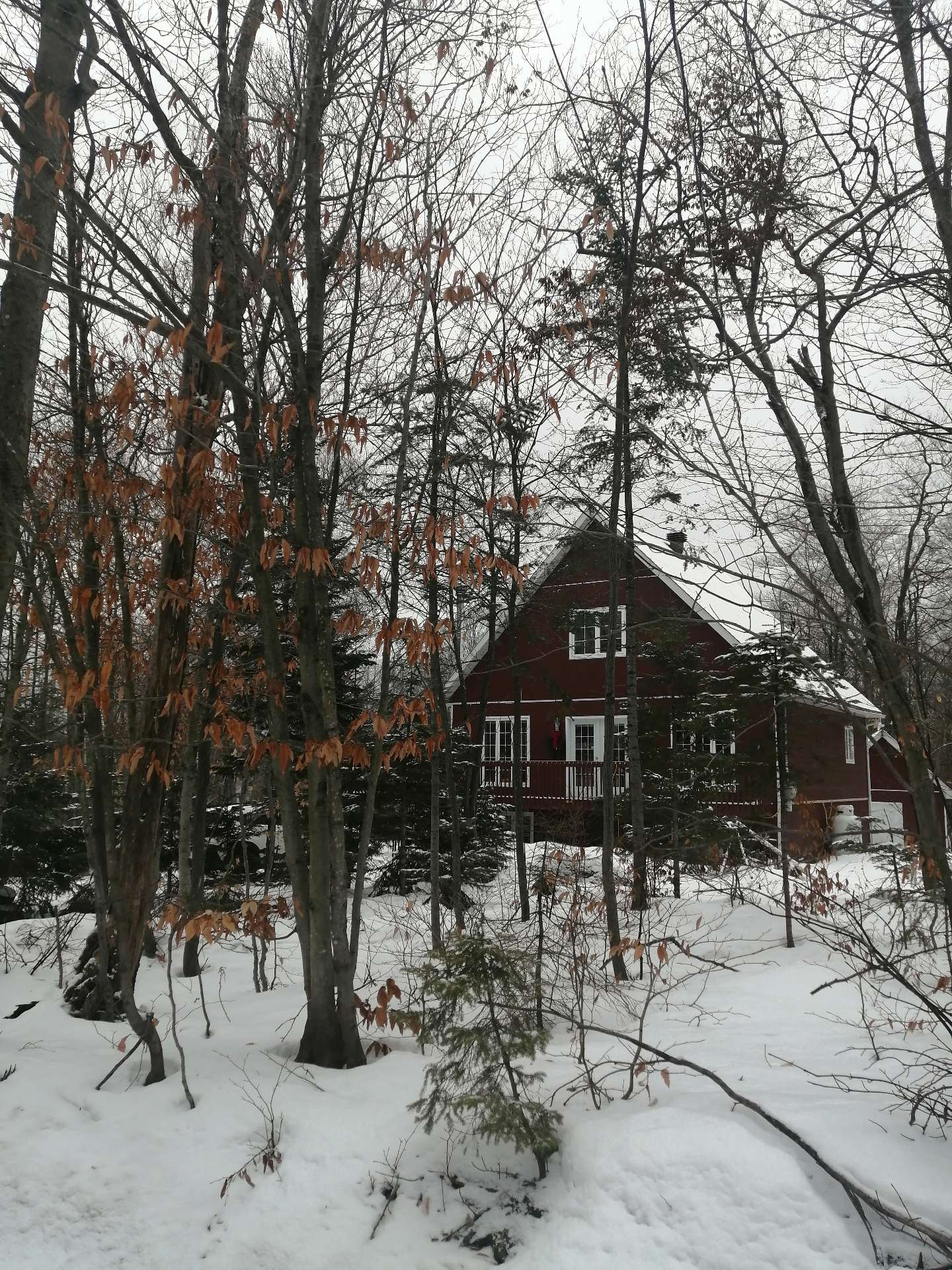 Frontage