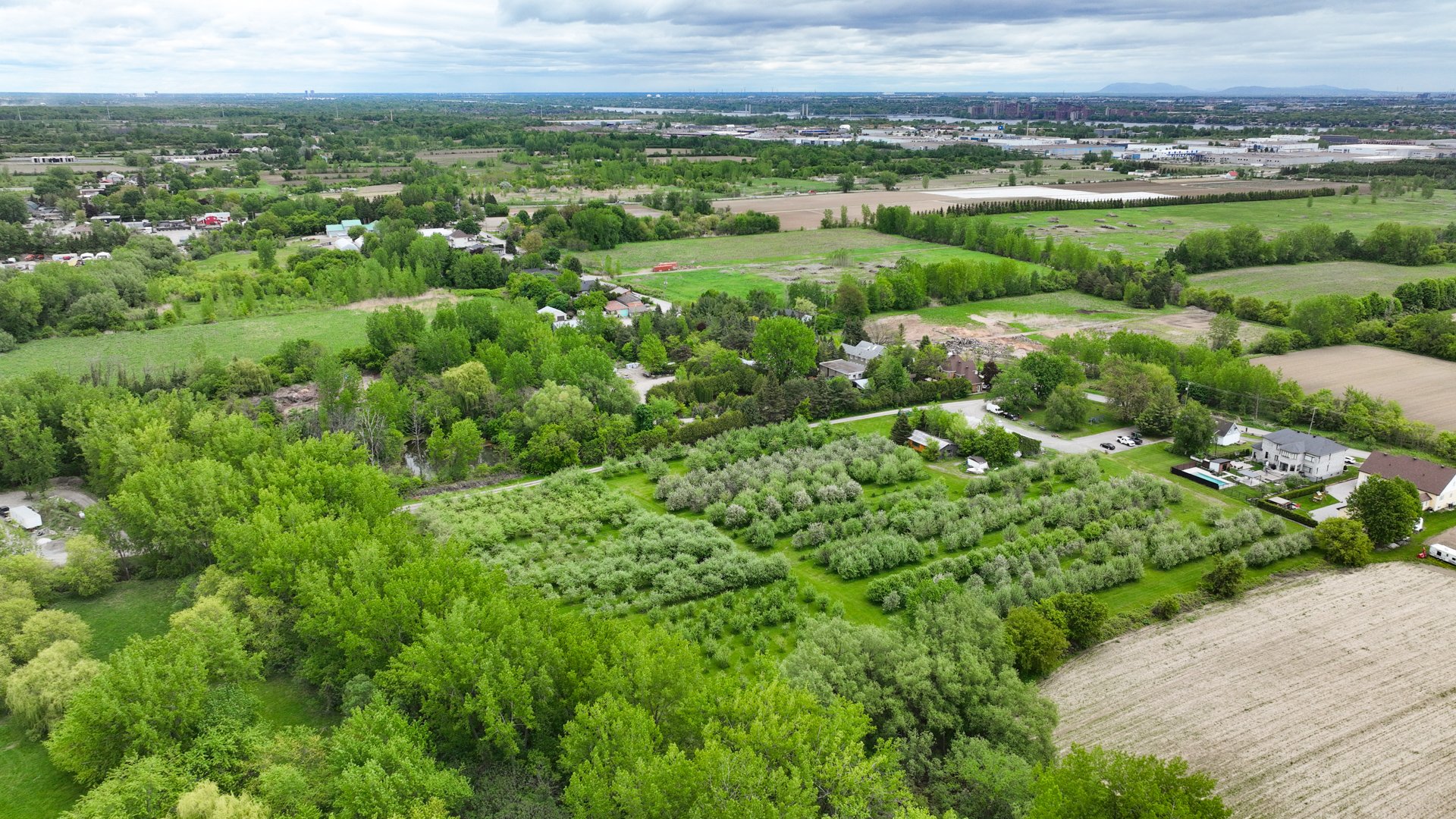 Overall View