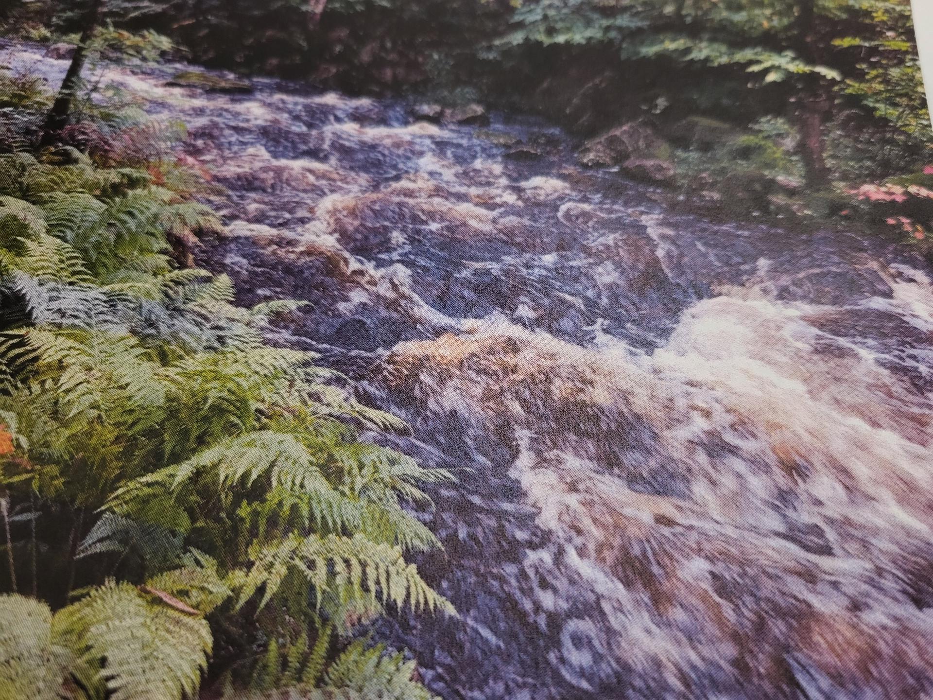 Ruisseau direct sur le terrain donnant accès au La