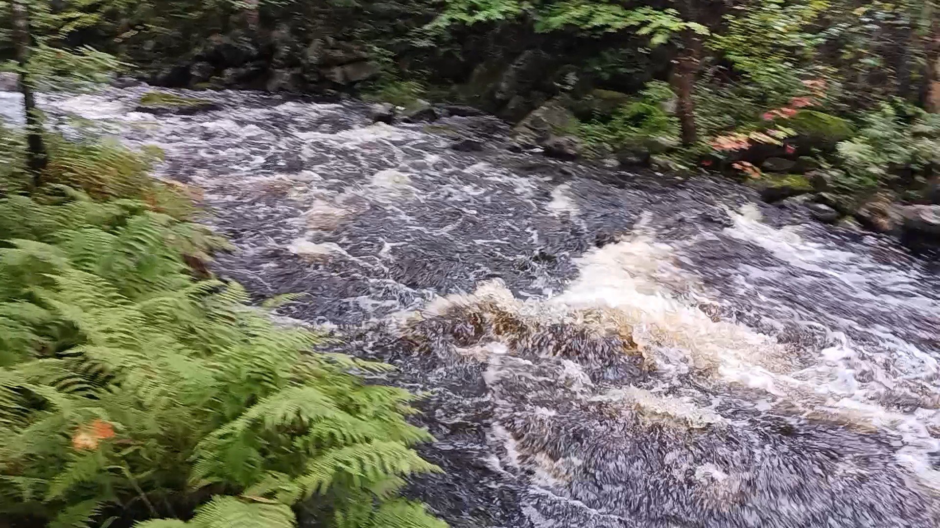 ruisseau coté gauche du terrain.