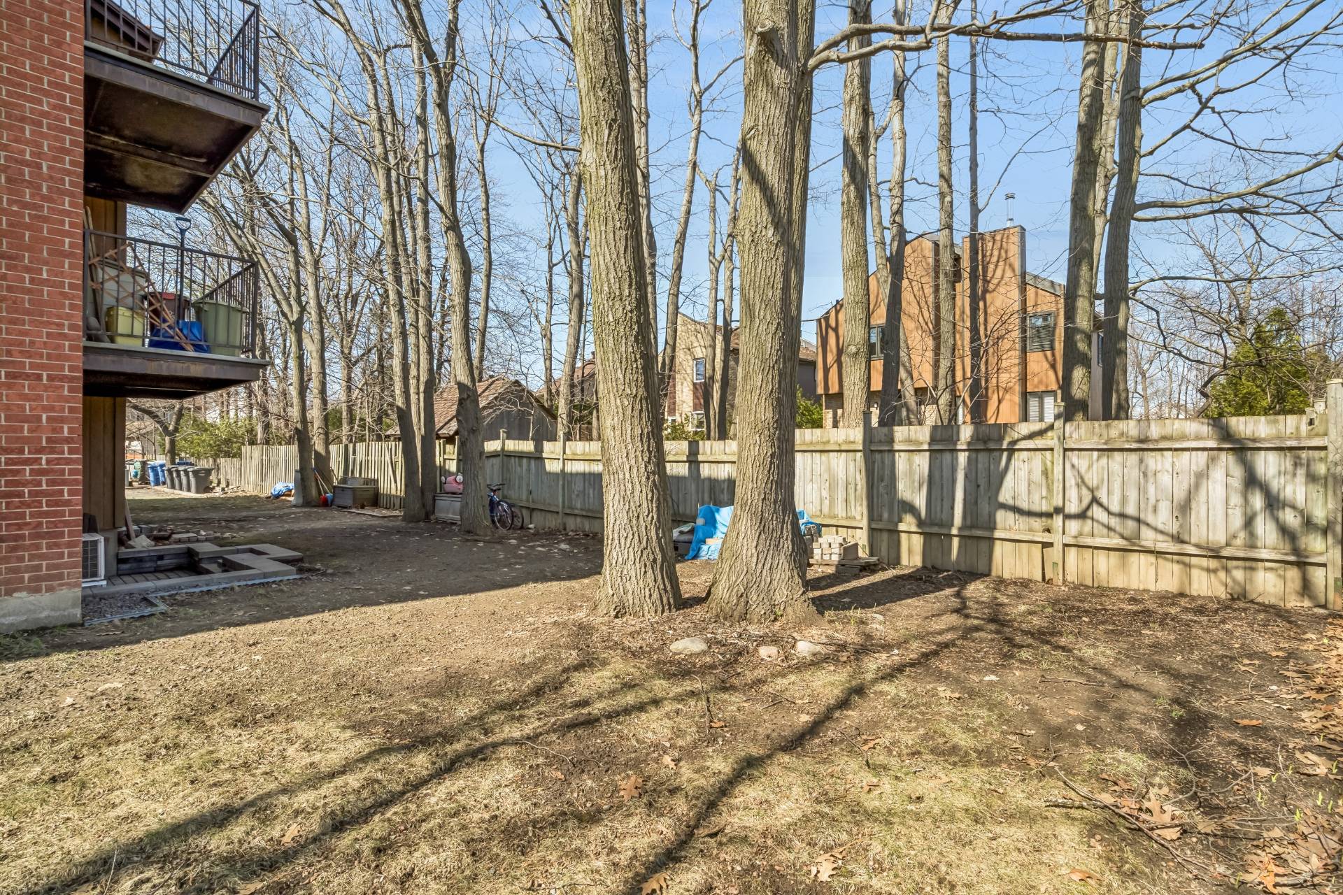 Backyard