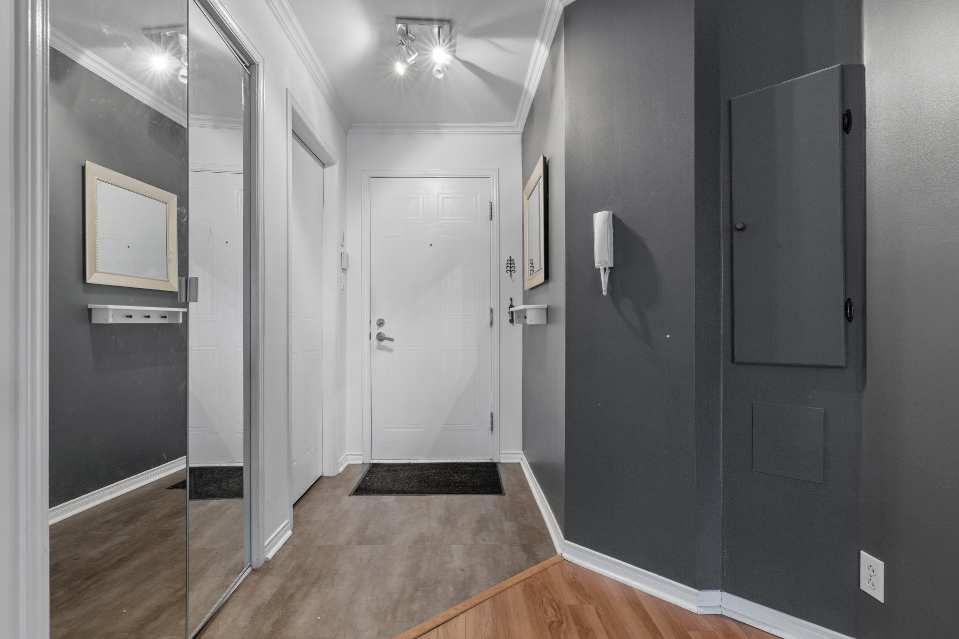 Hall d'entrée/Vestibule