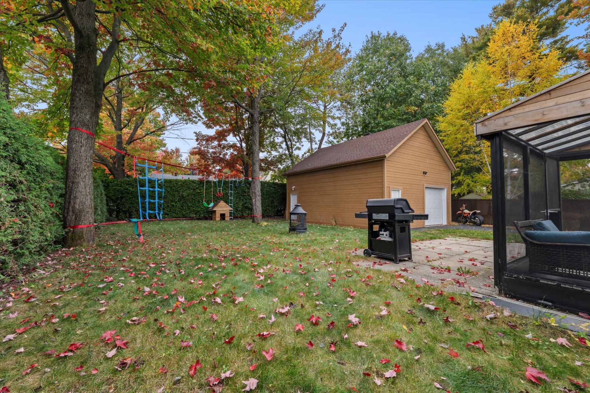 Backyard