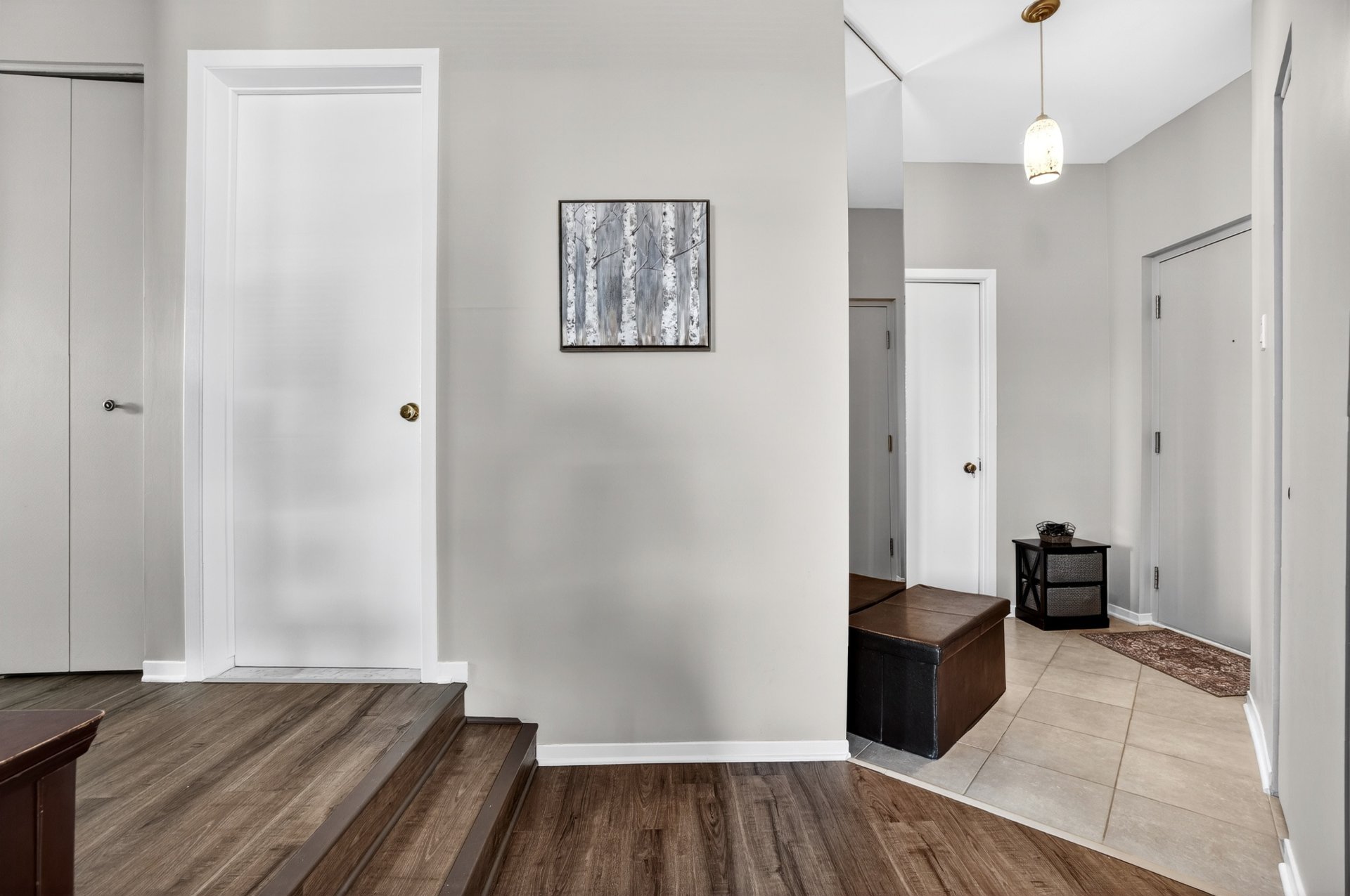 Hall d'entrée/Vestibule