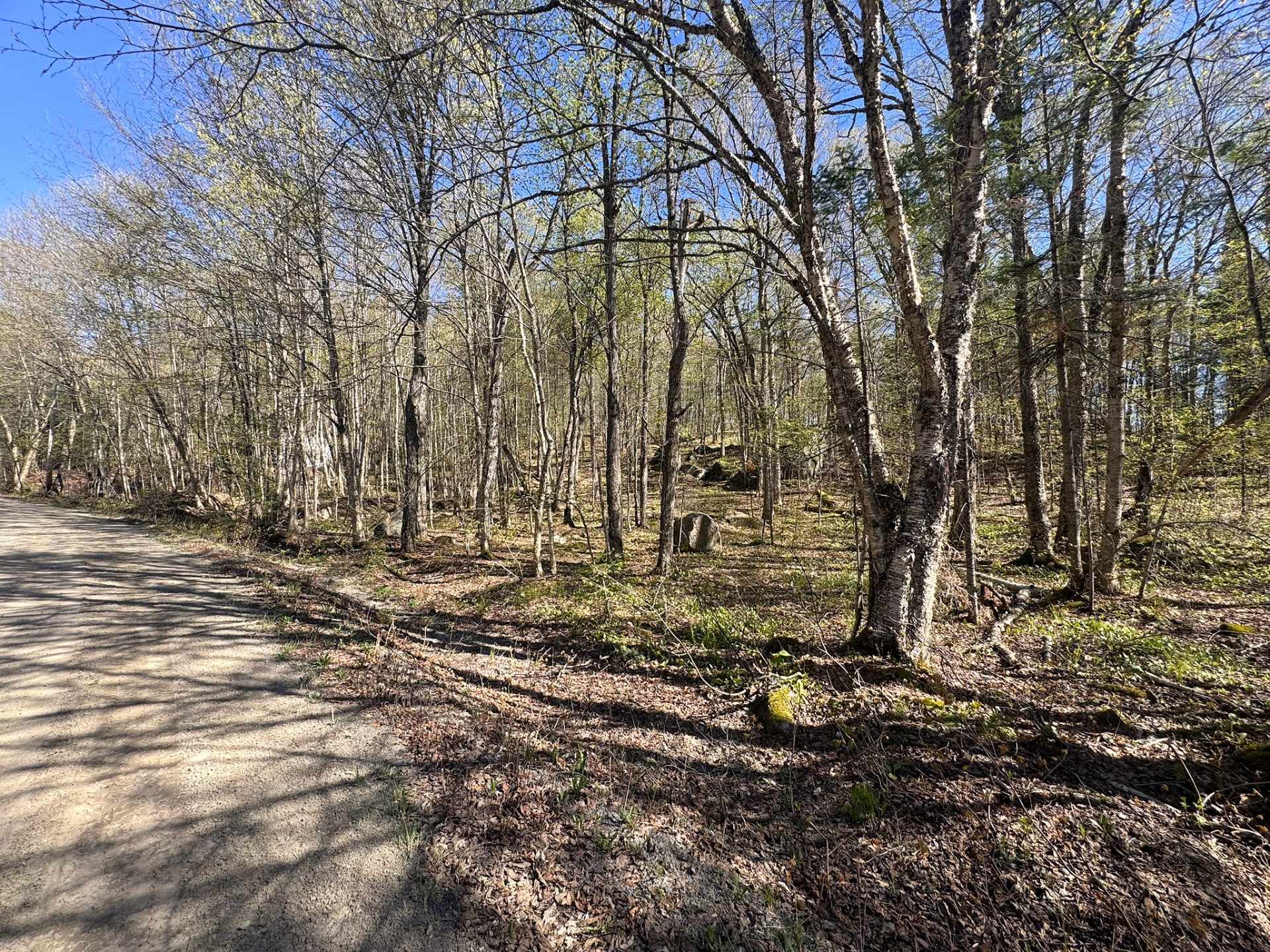 Overall View