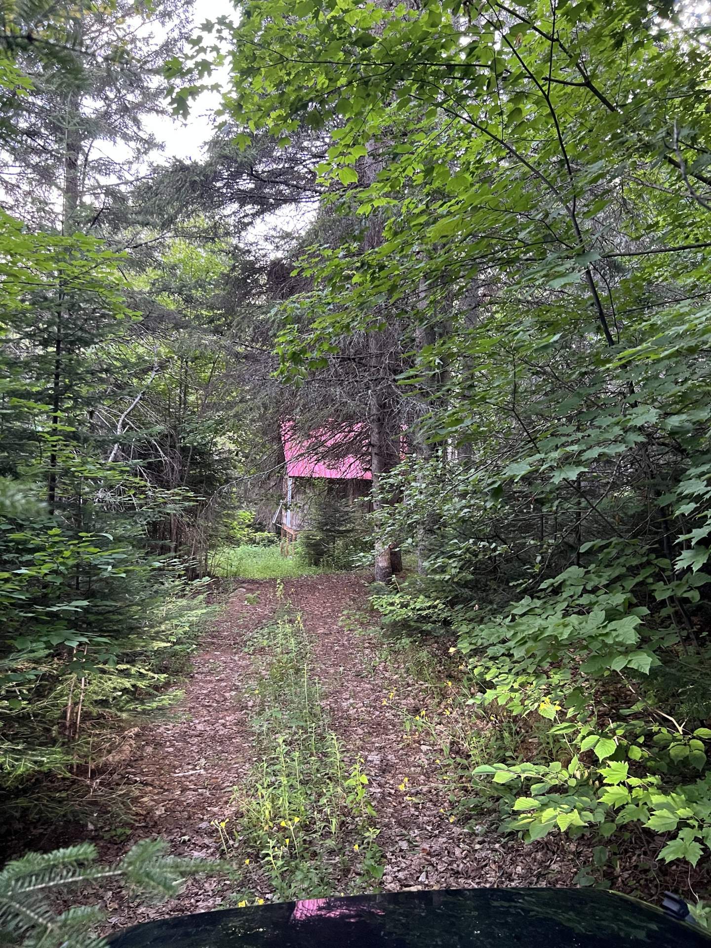 Chemin accès au chalet