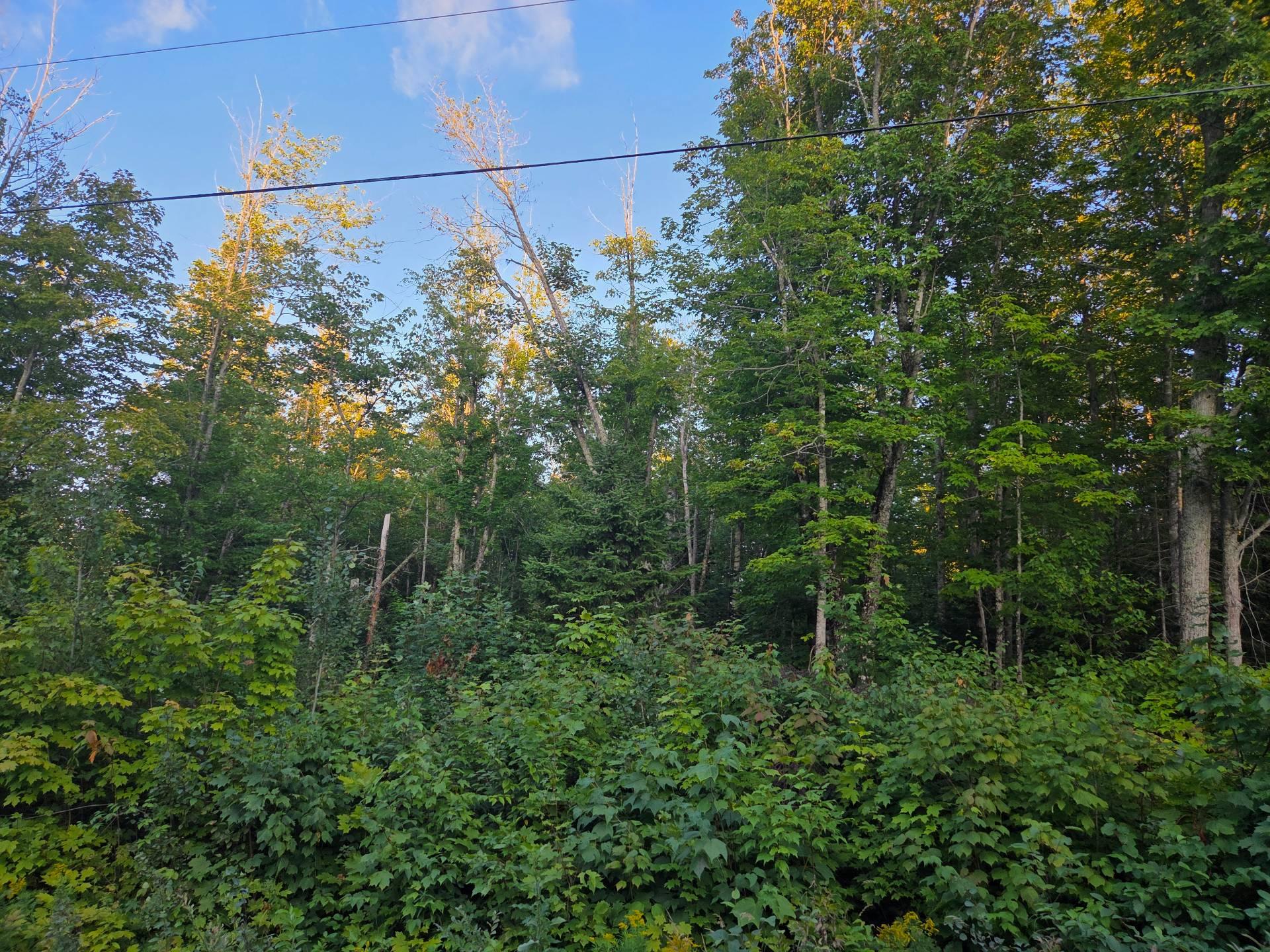 Land/Lot