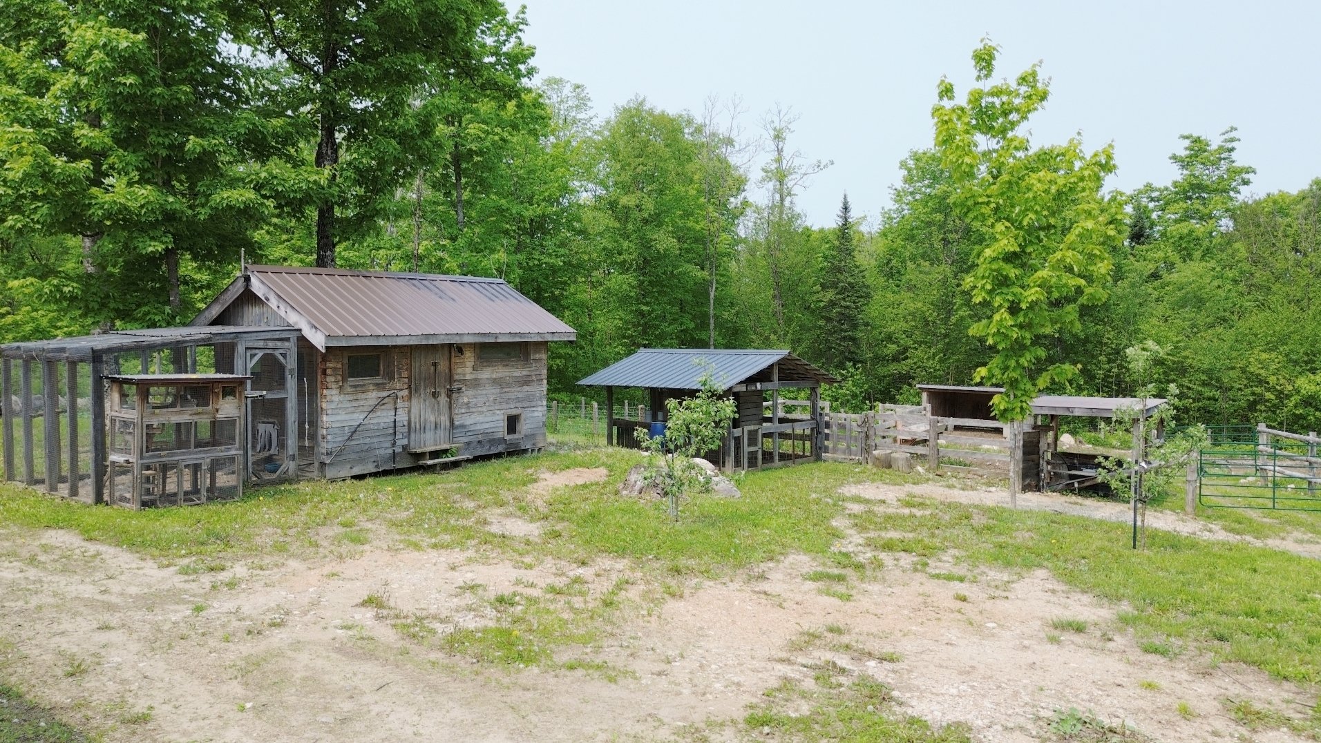 Overall View