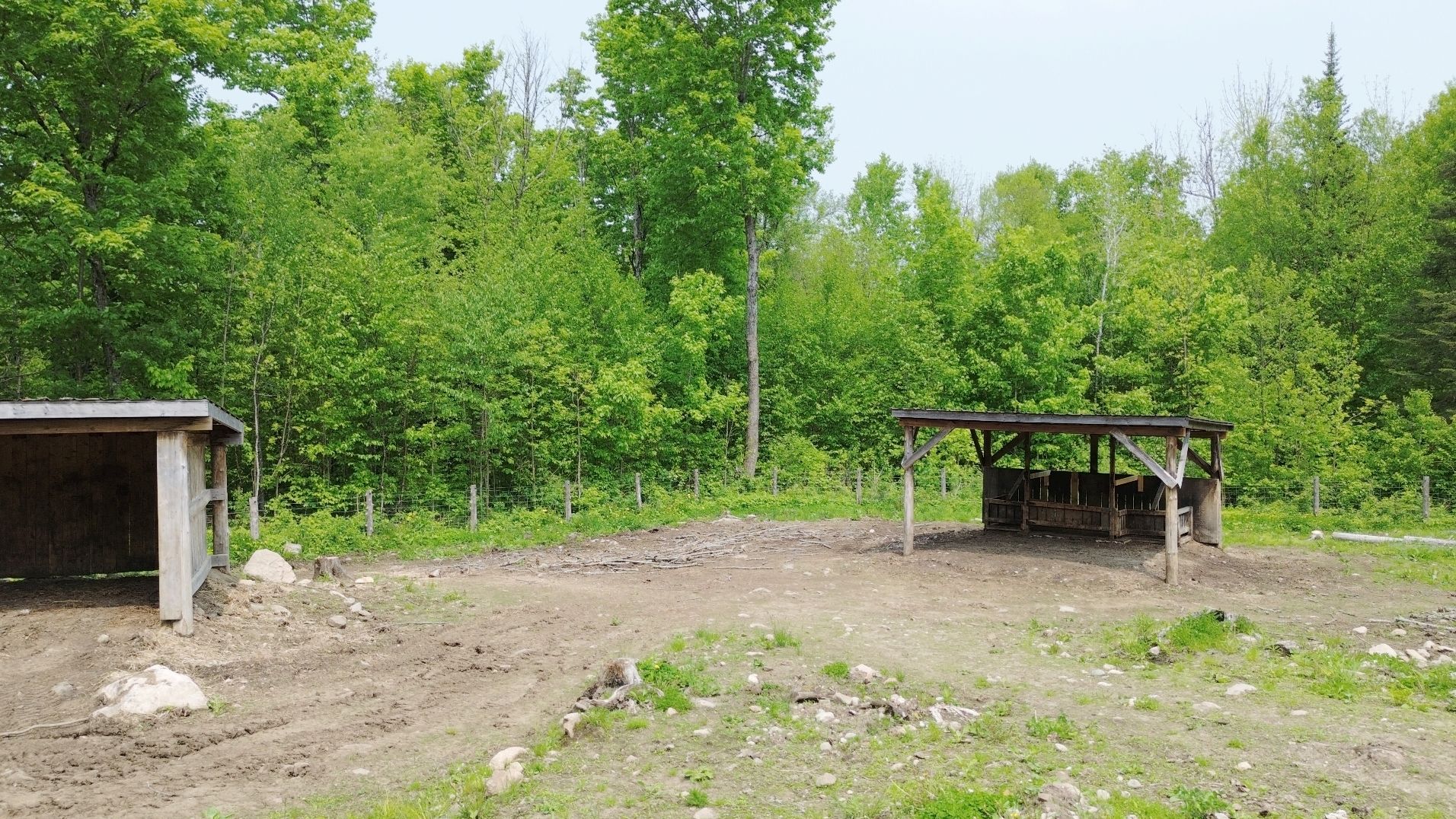 Overall View
