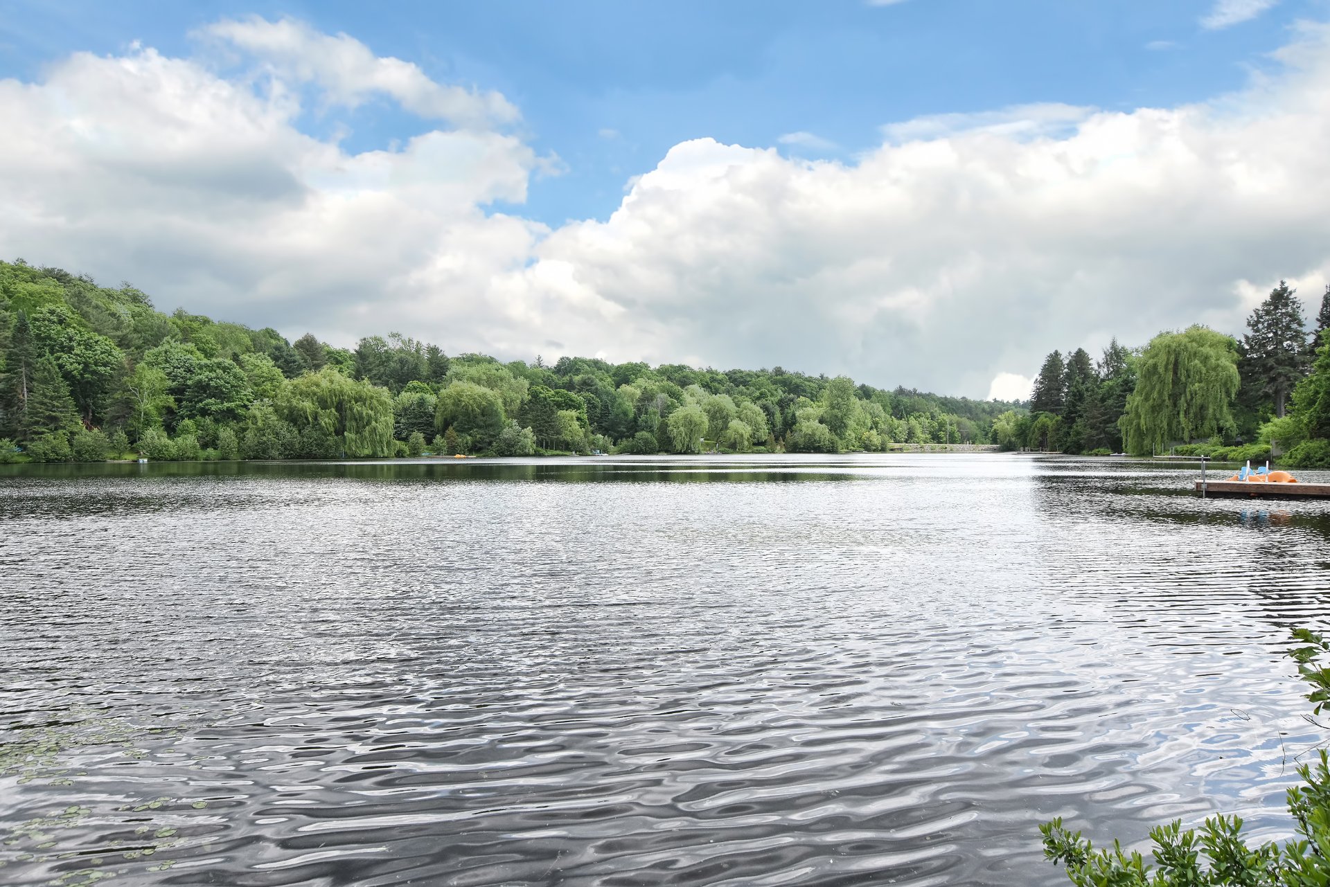 Bord de l'eau