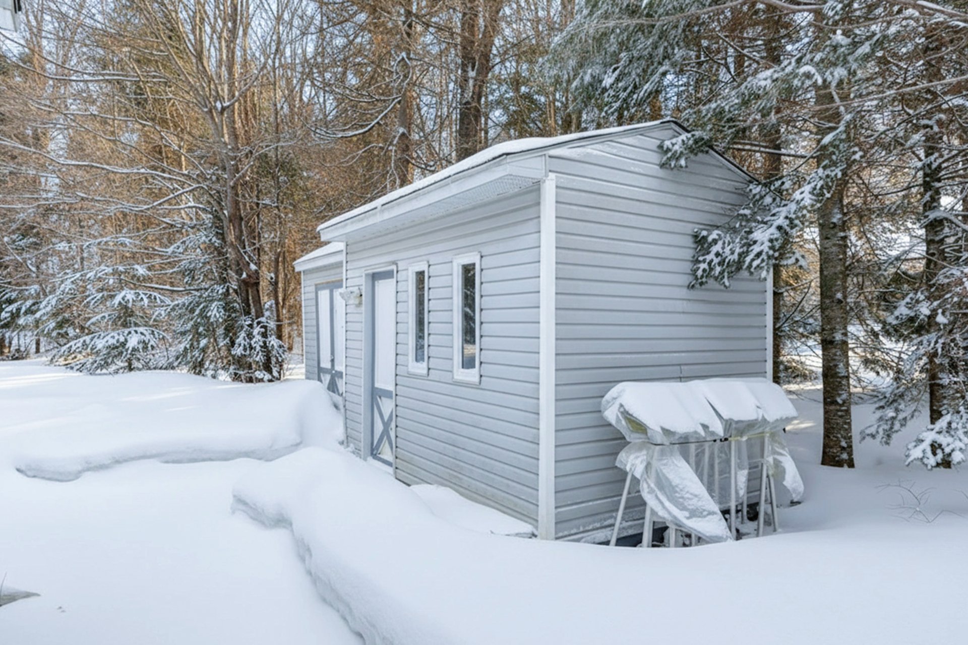 Shed