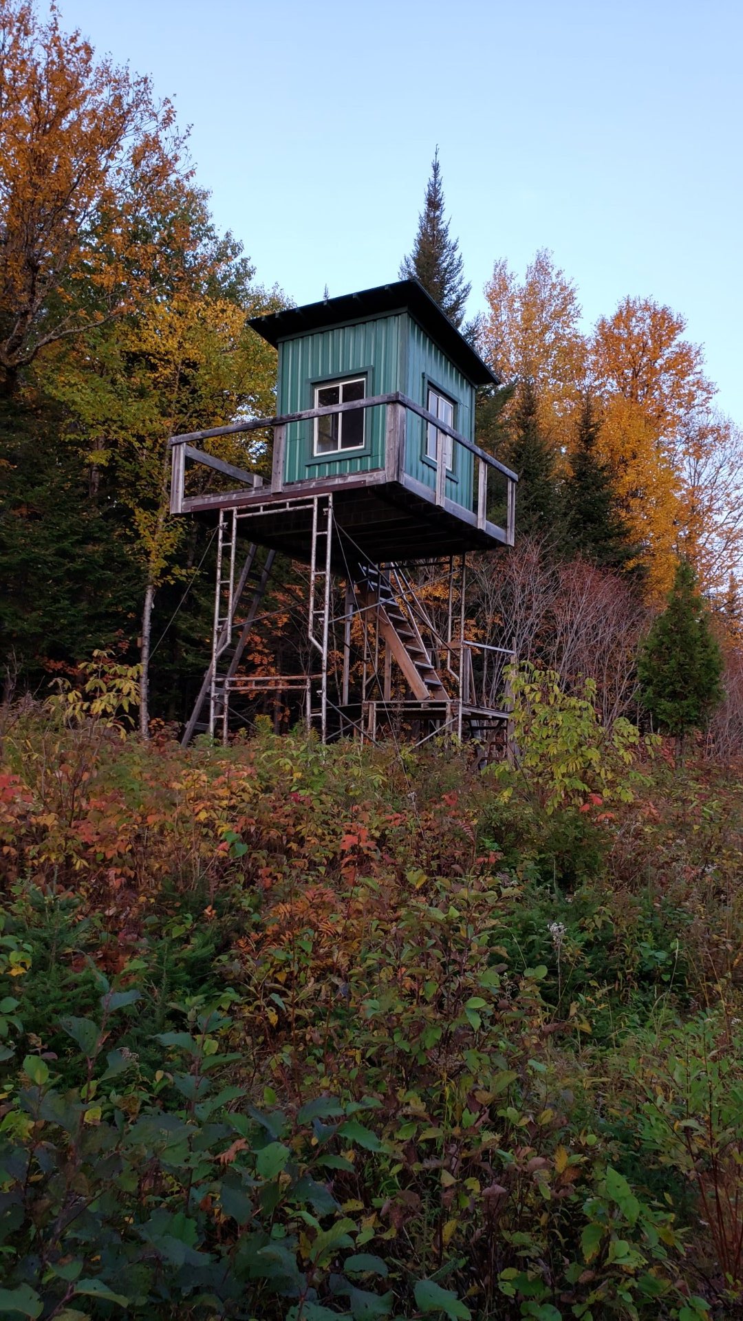 Cache pour la chasse