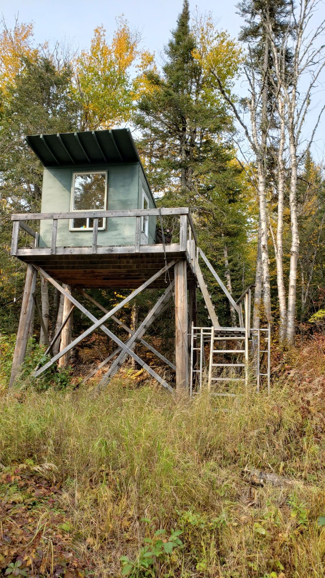 Cache pour la chasse