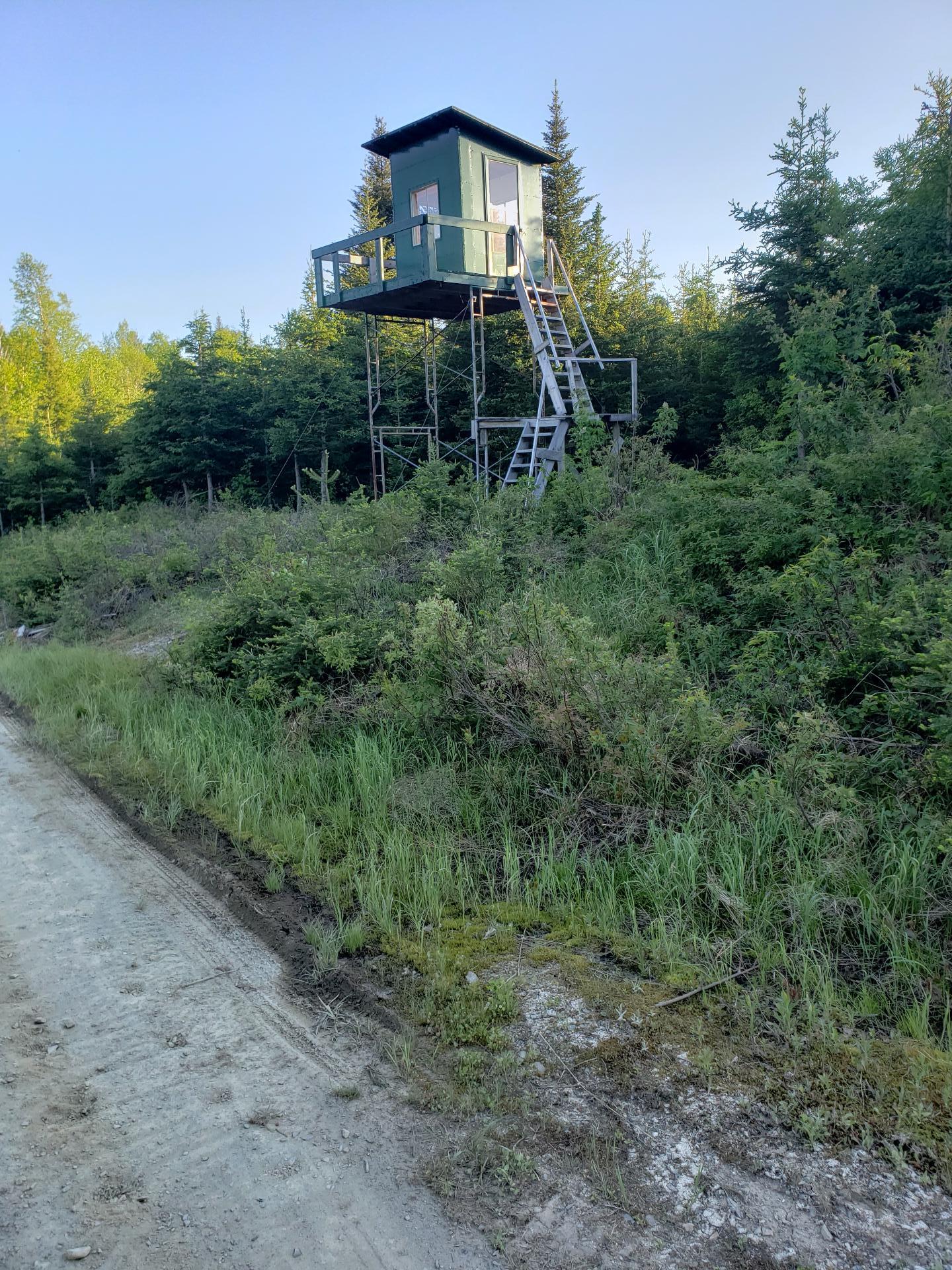 Cache pour la chasse