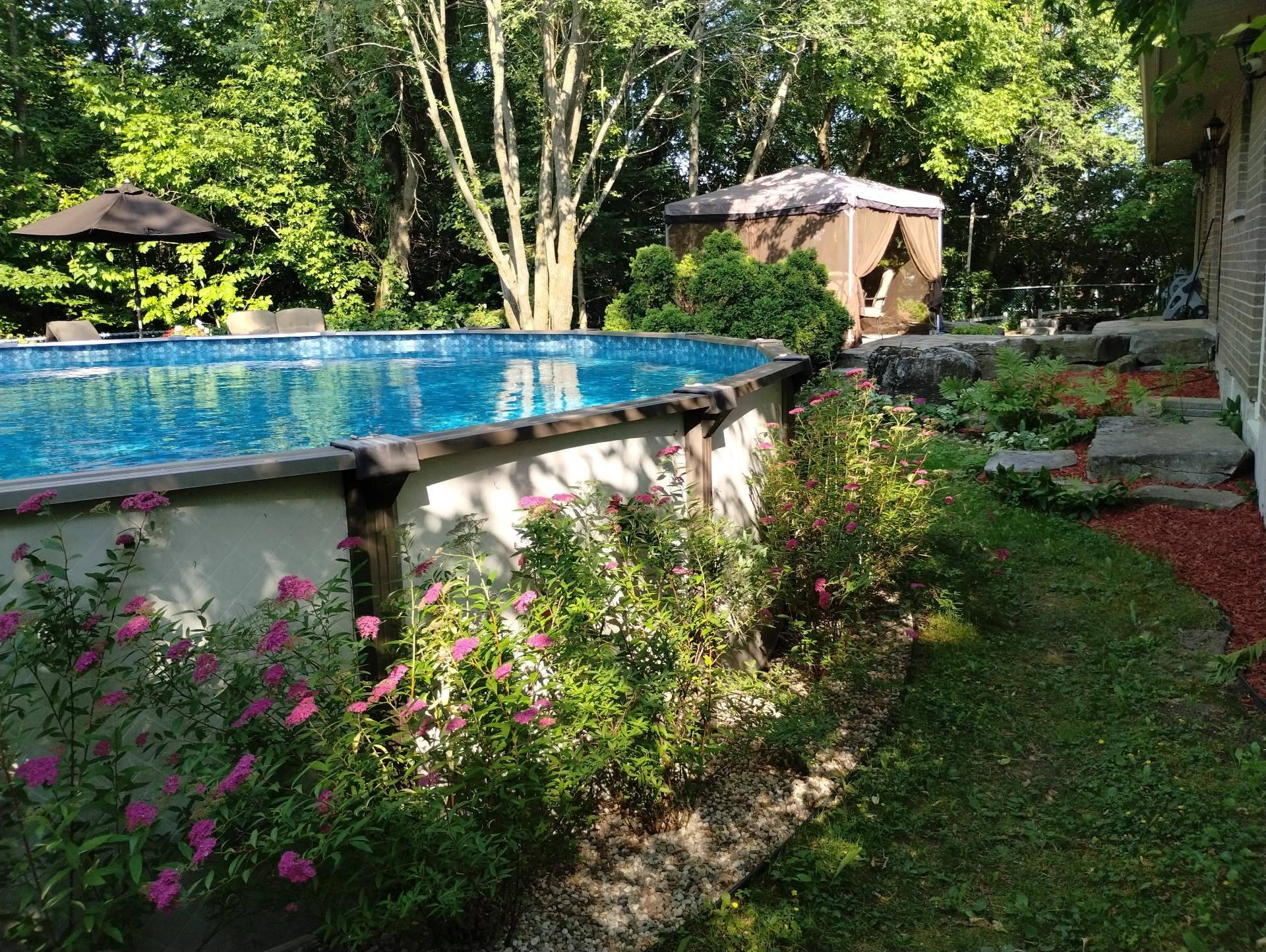 photo été
