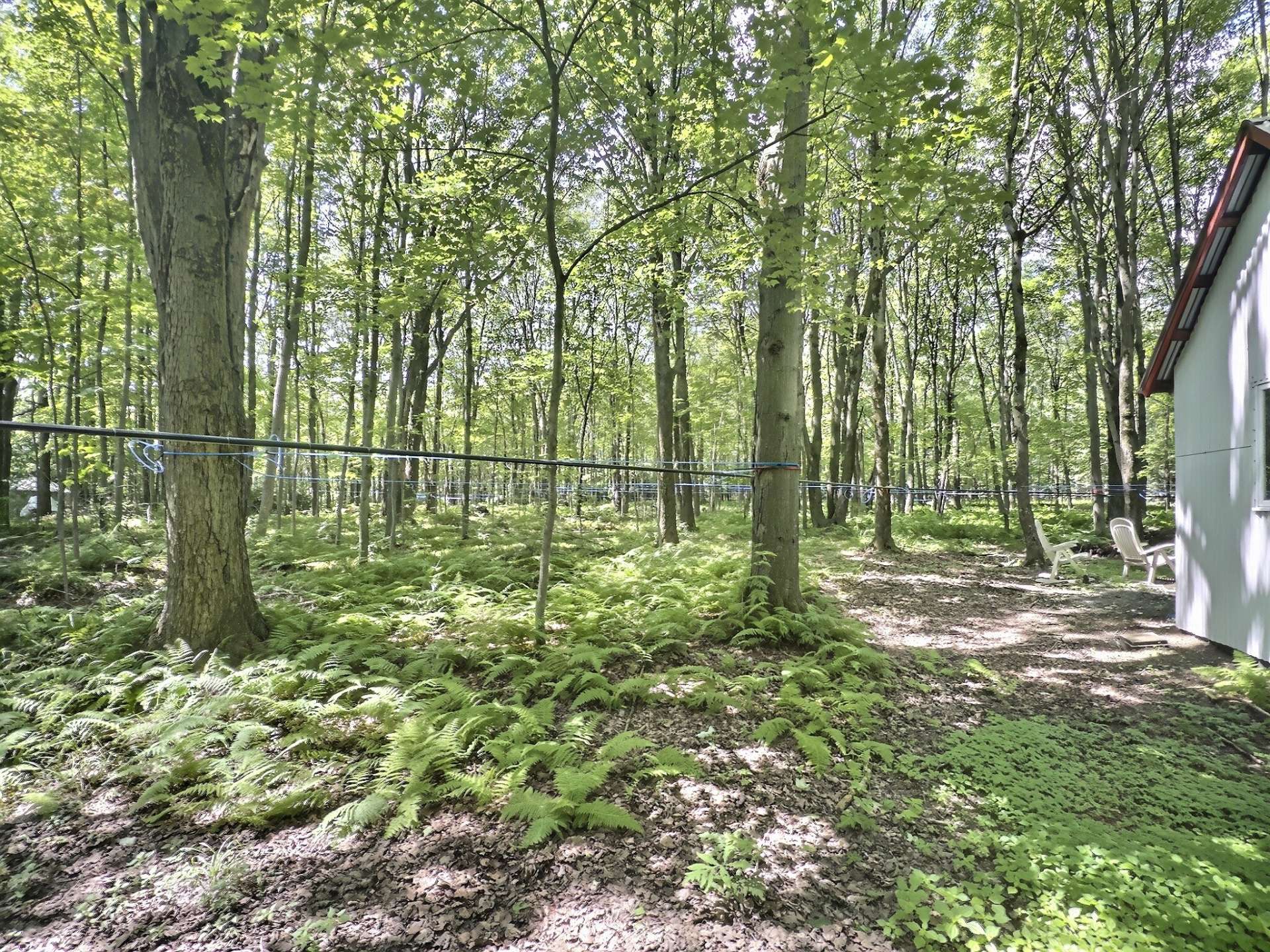 Terre à bois