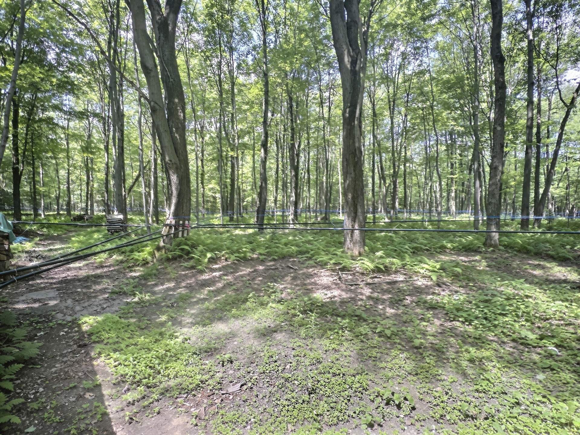 Terre à bois