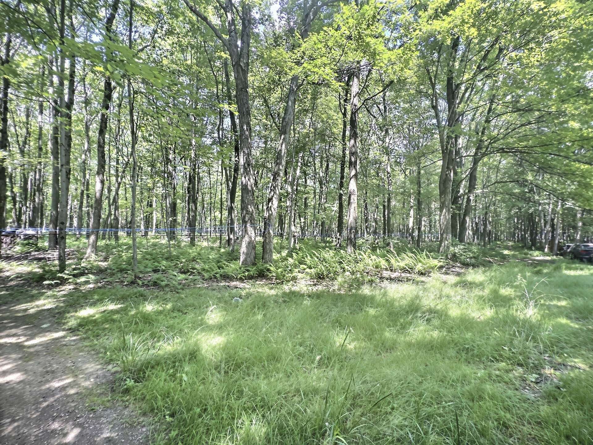 Terre à bois