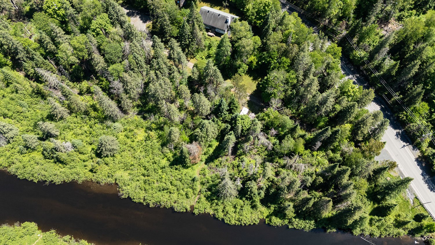 Aerial photo