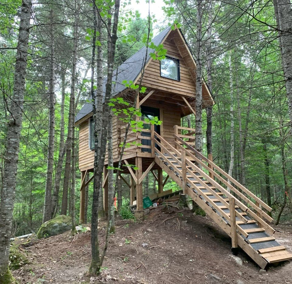 Cabane dans les arbres