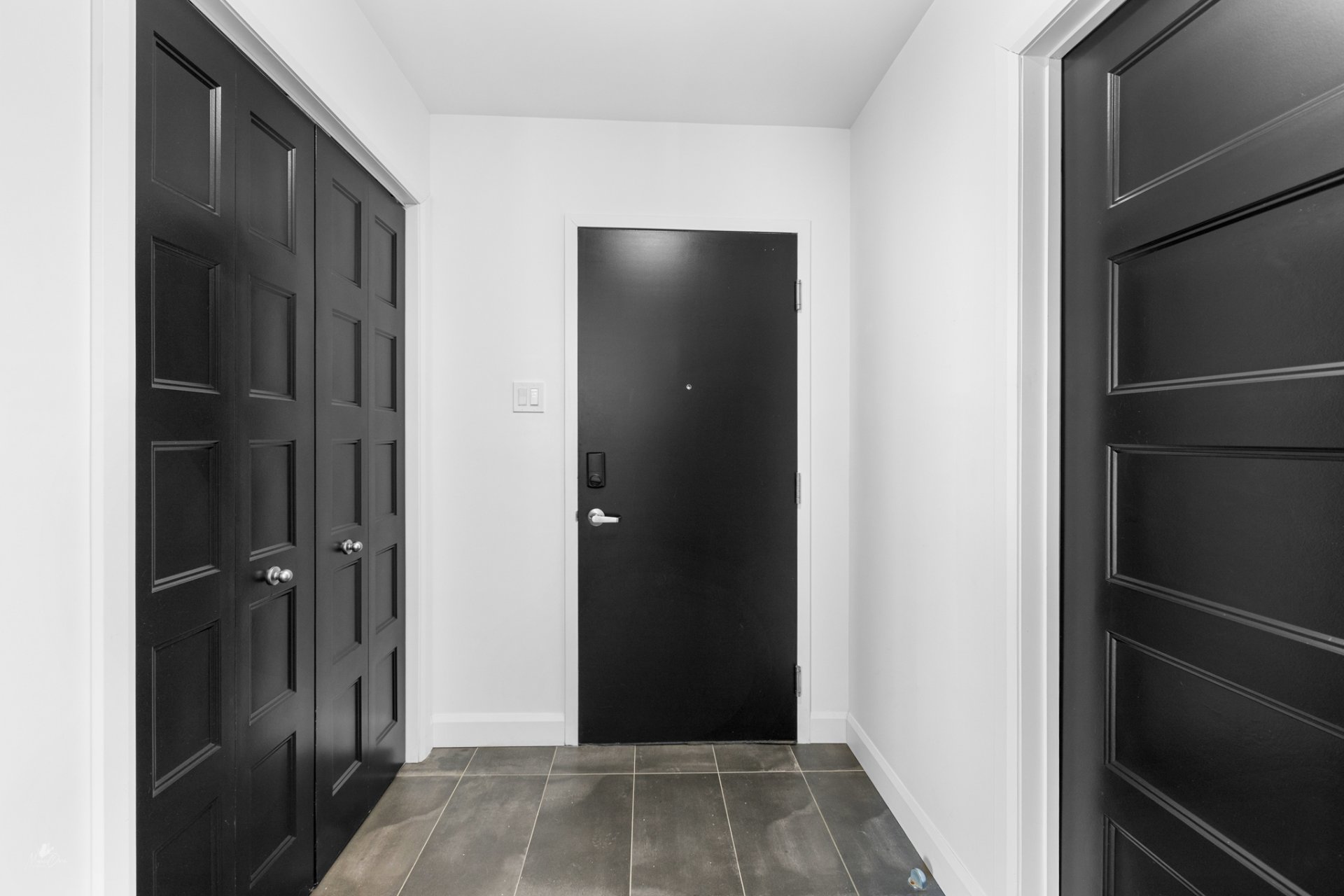 Hall d'entrée/Vestibule