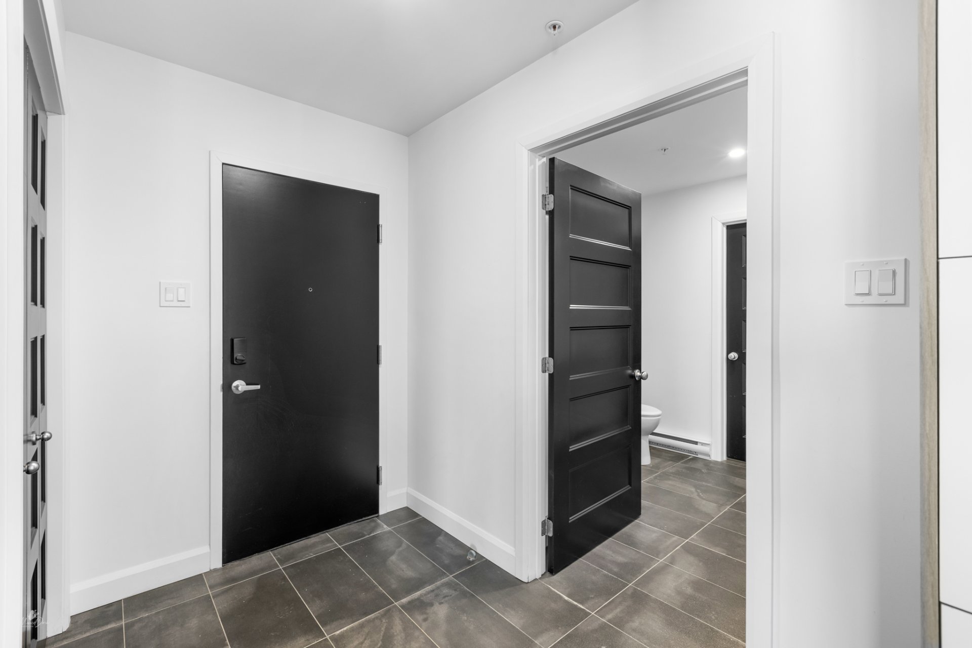 Hall d'entrée/Vestibule