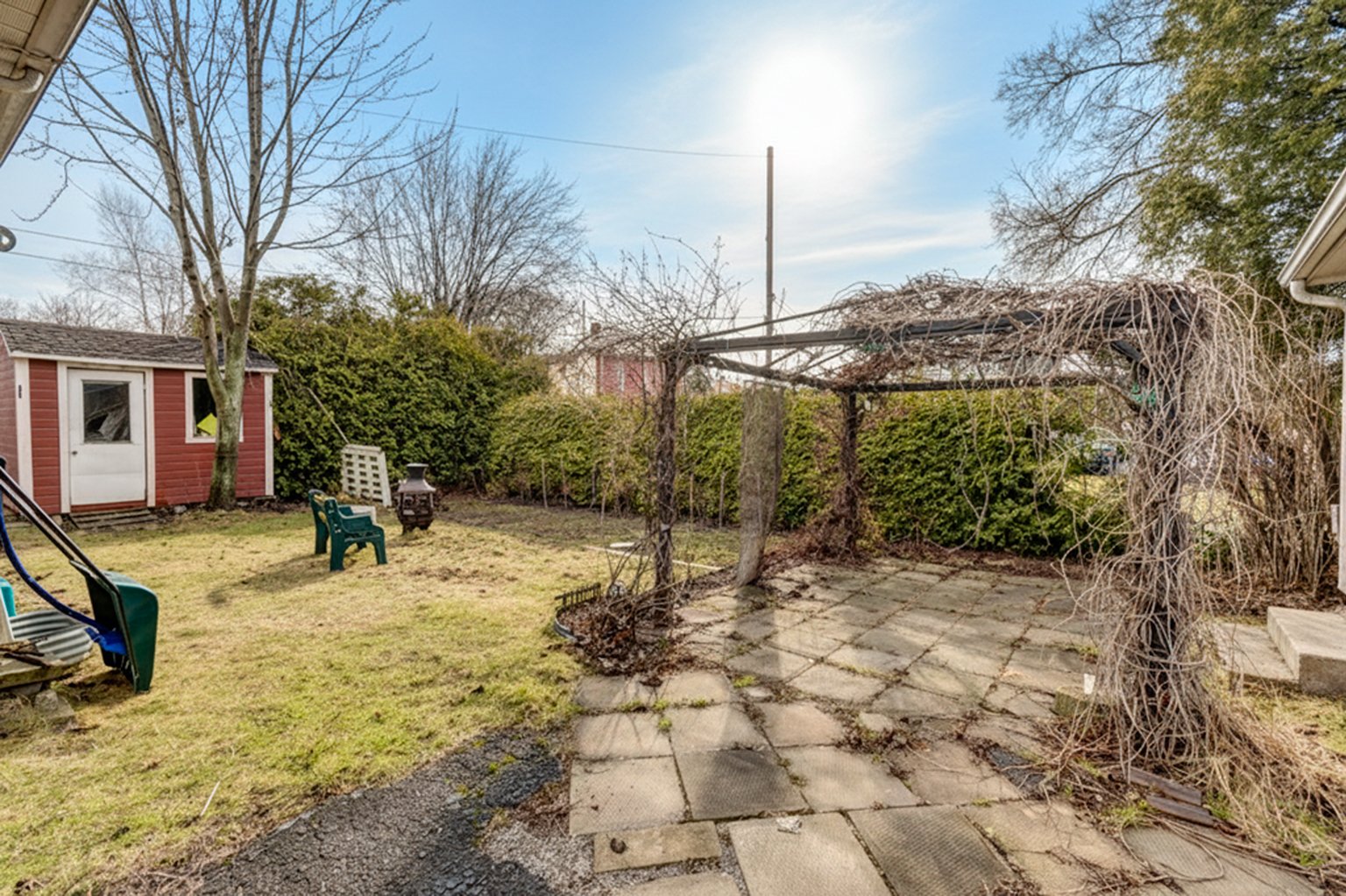 Backyard