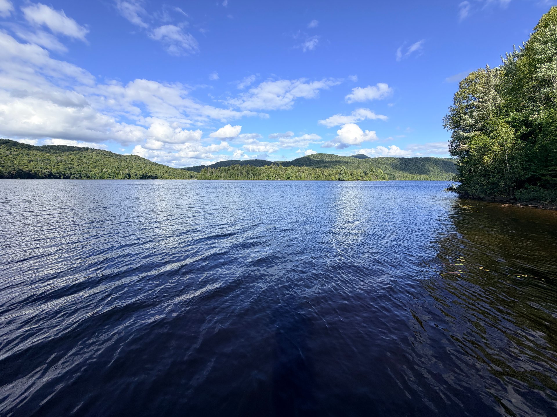 Vue sur l'eau