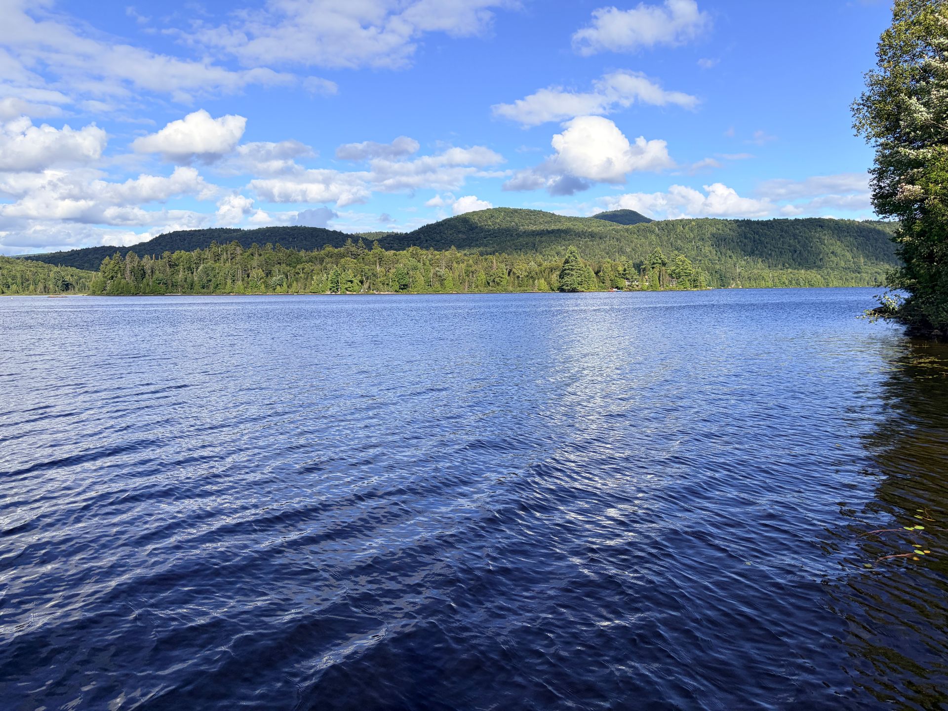 Vue sur l'eau