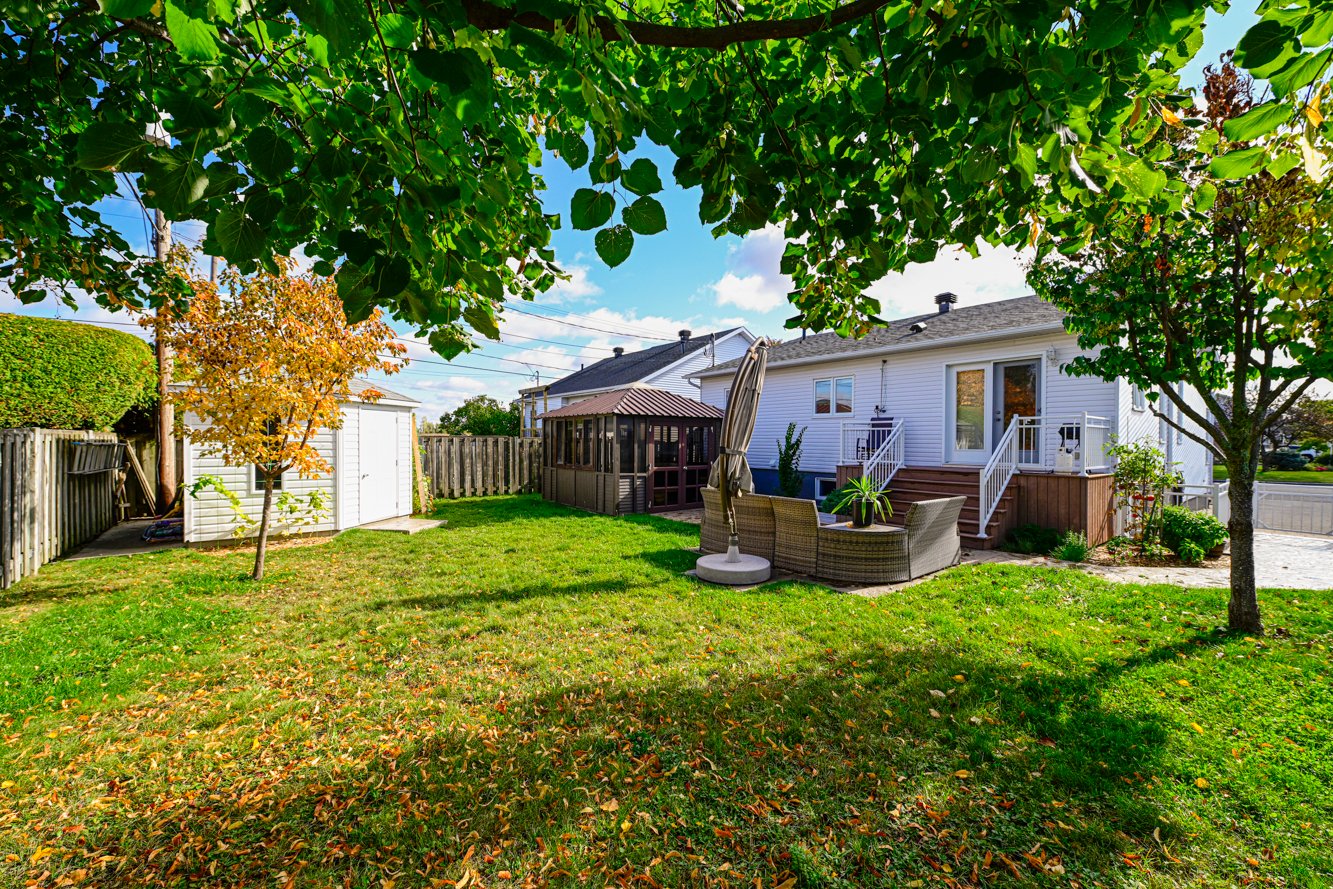 Quelques arbres sur le terrain