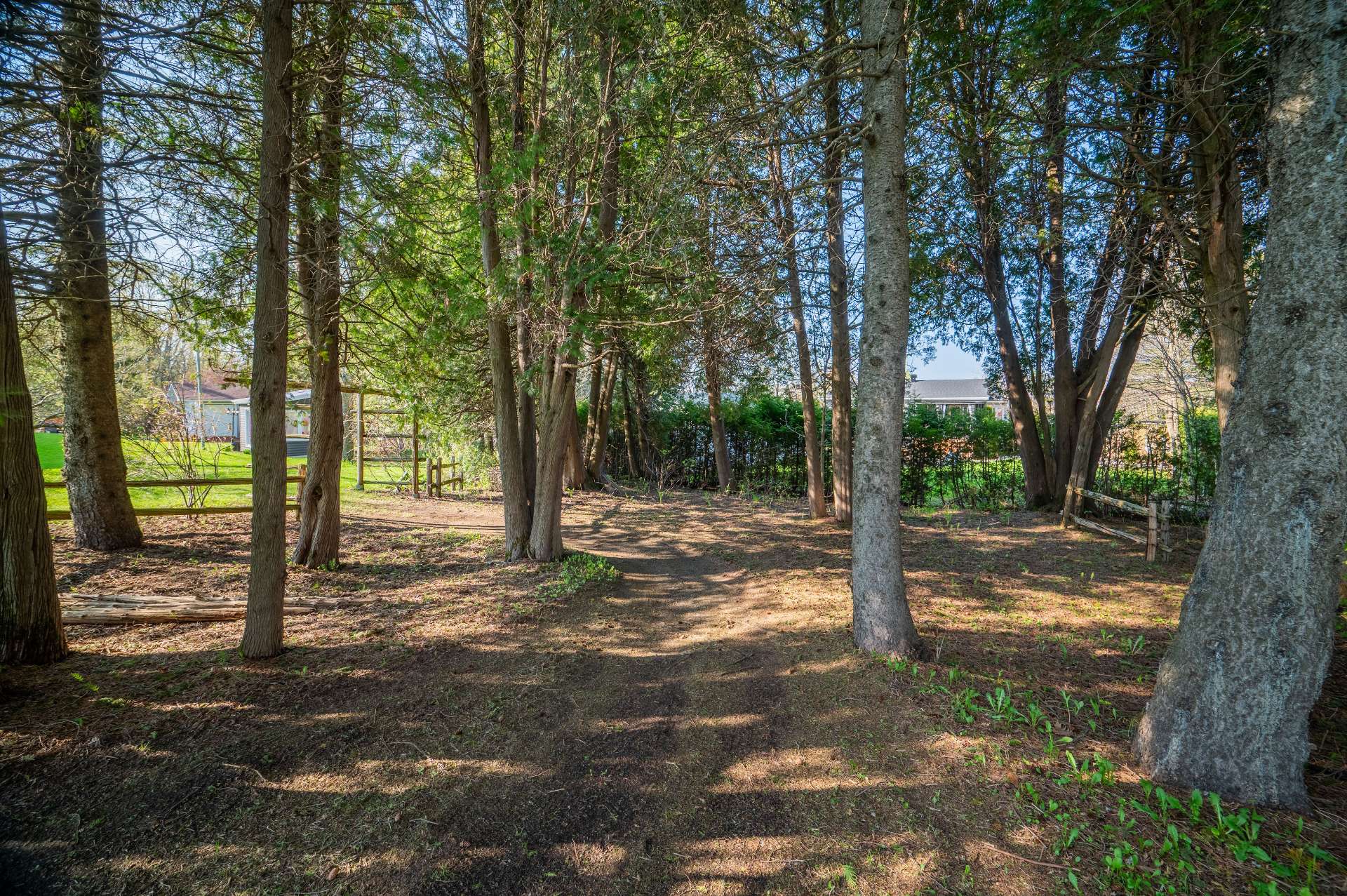 La forêt enchantée
