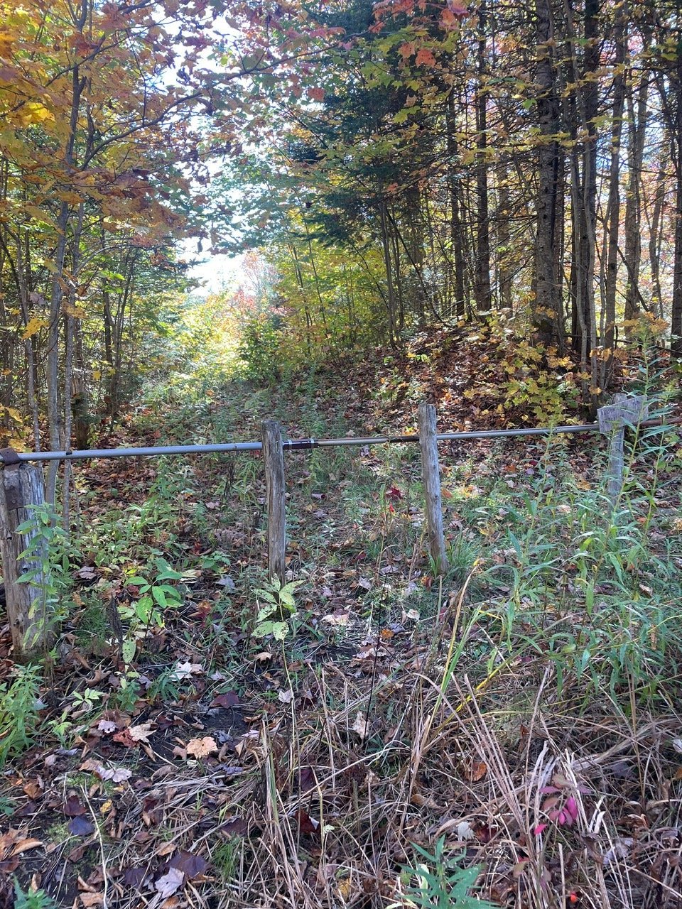 Access to a body of water