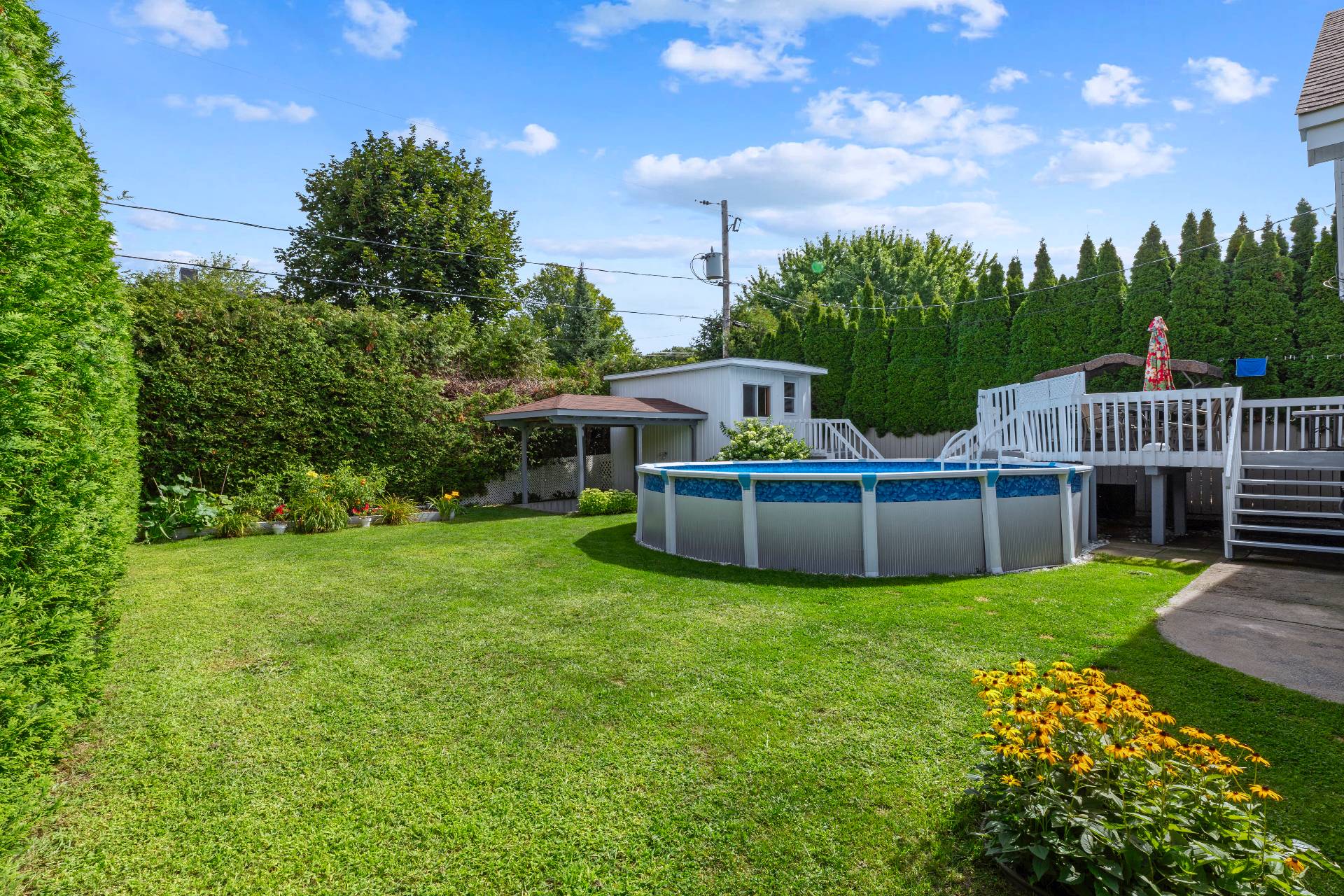 Backyard