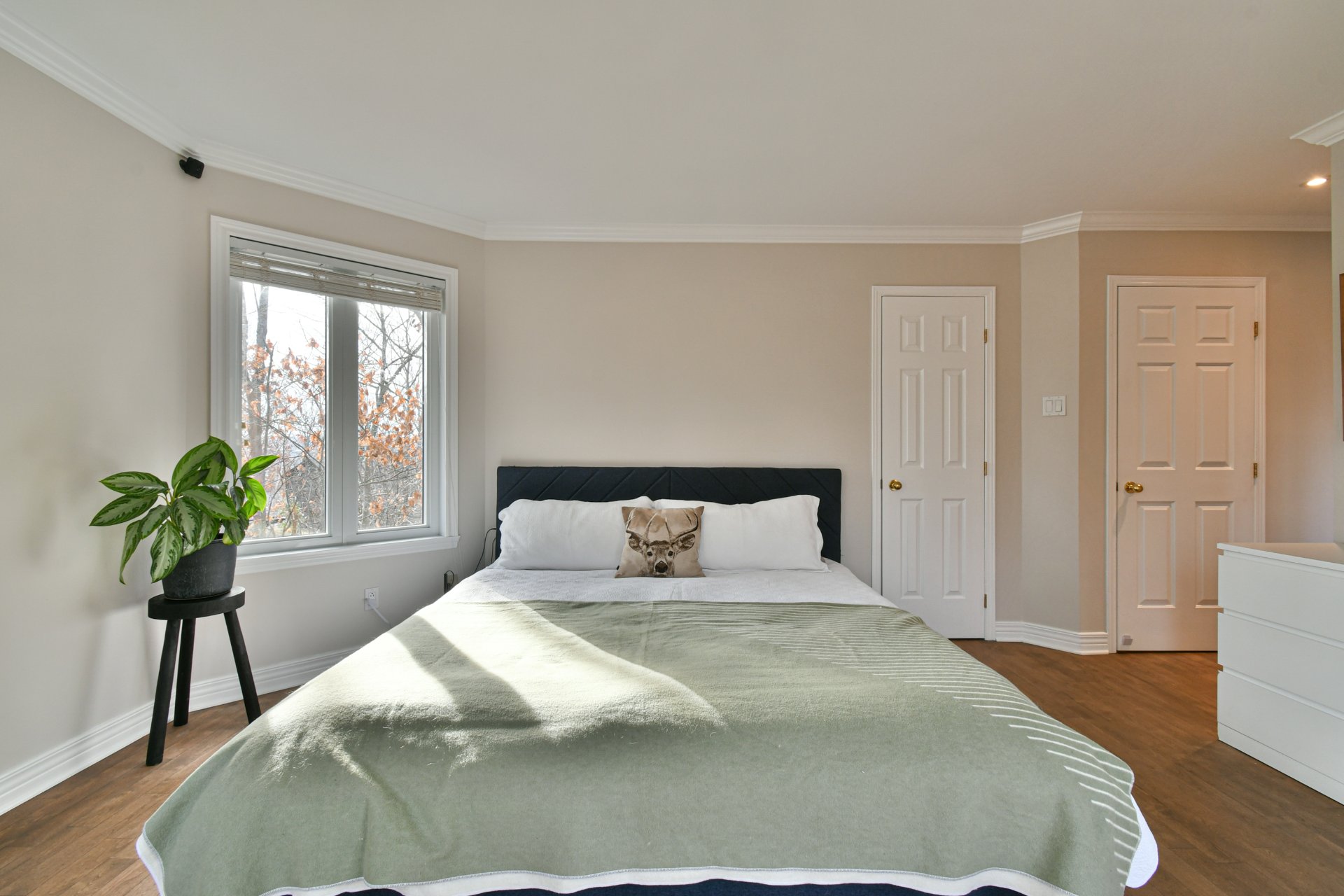 Chambre à coucher principale