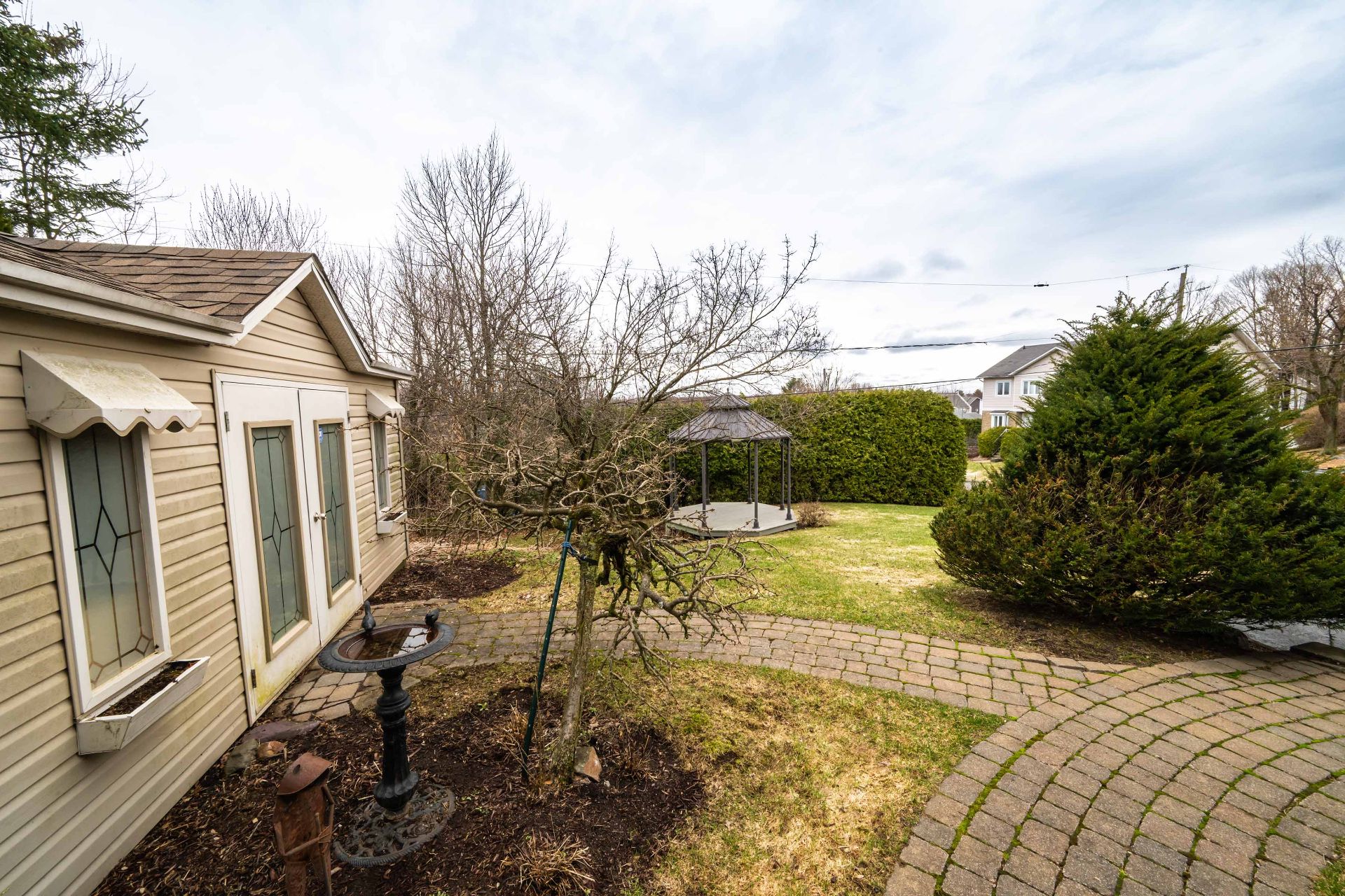 Backyard