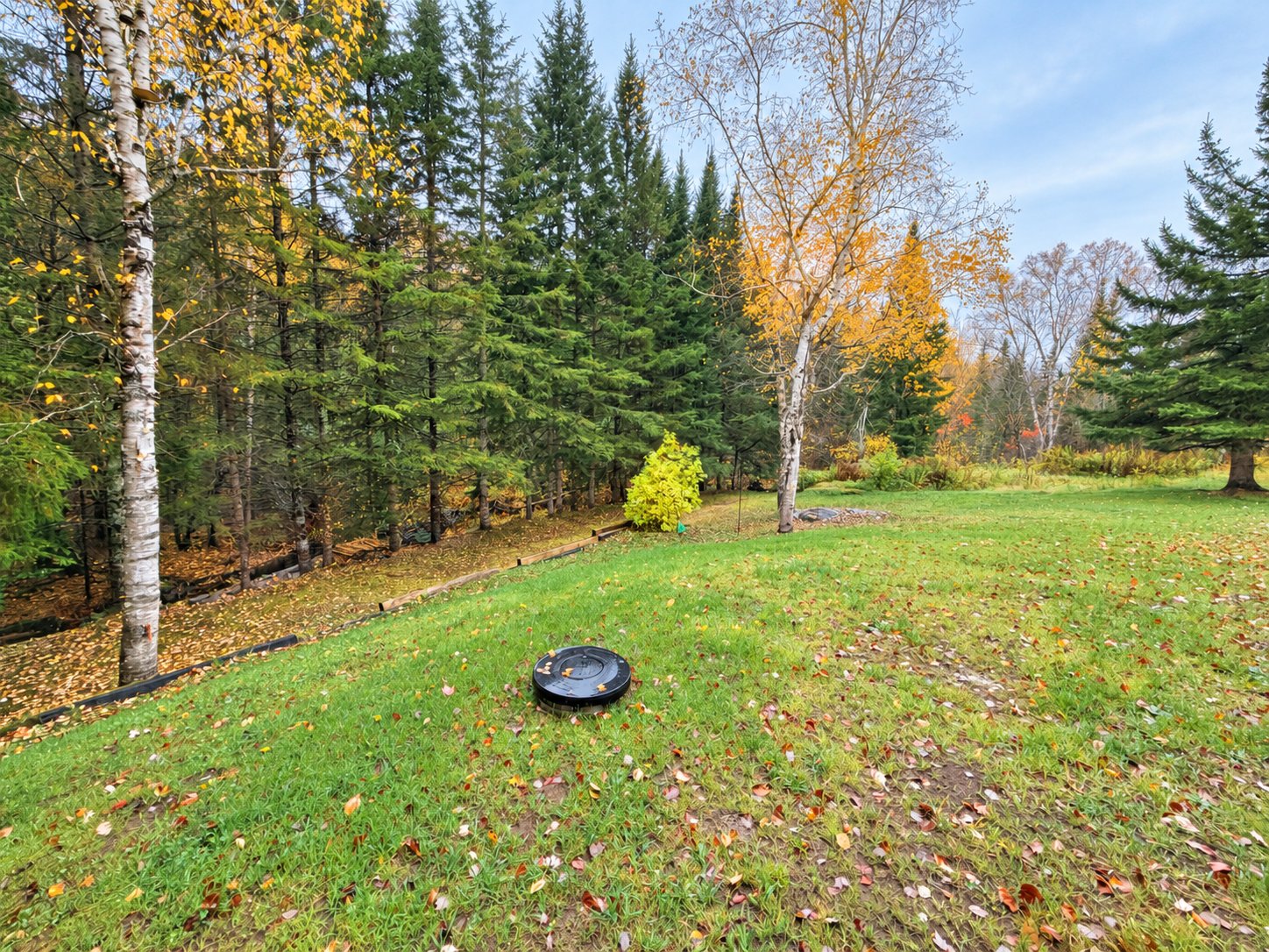 Land/Lot