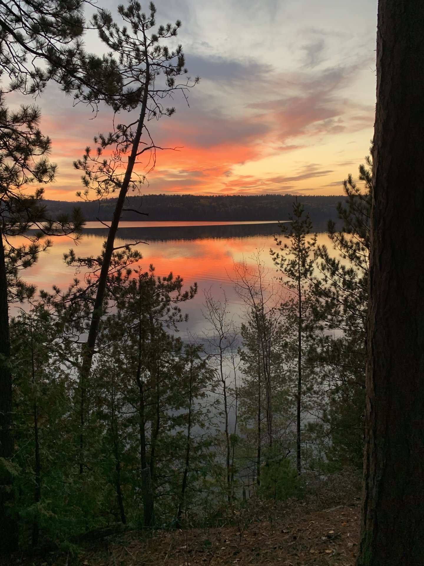 Water view