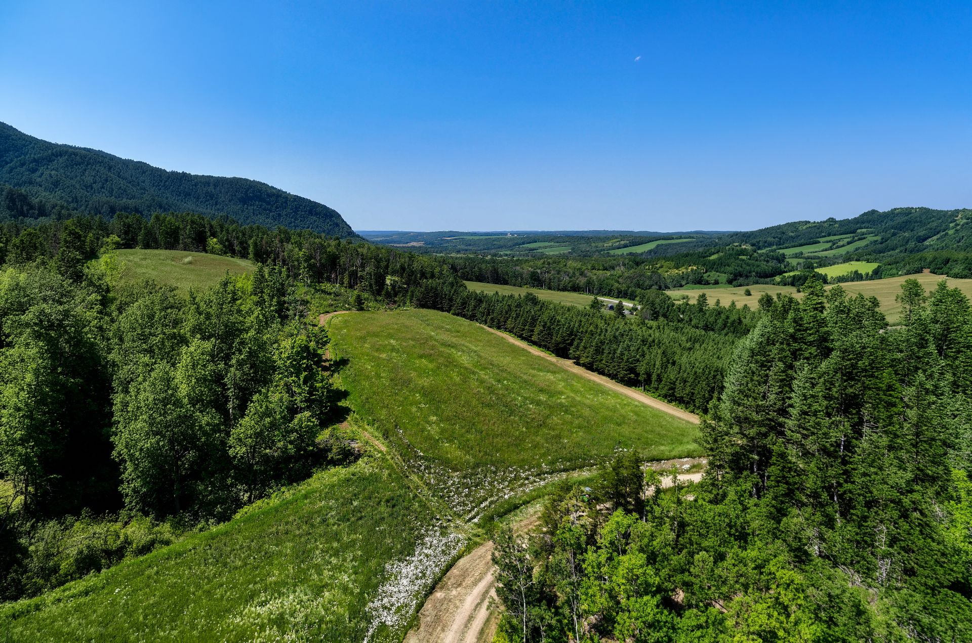 Terre/Terrain