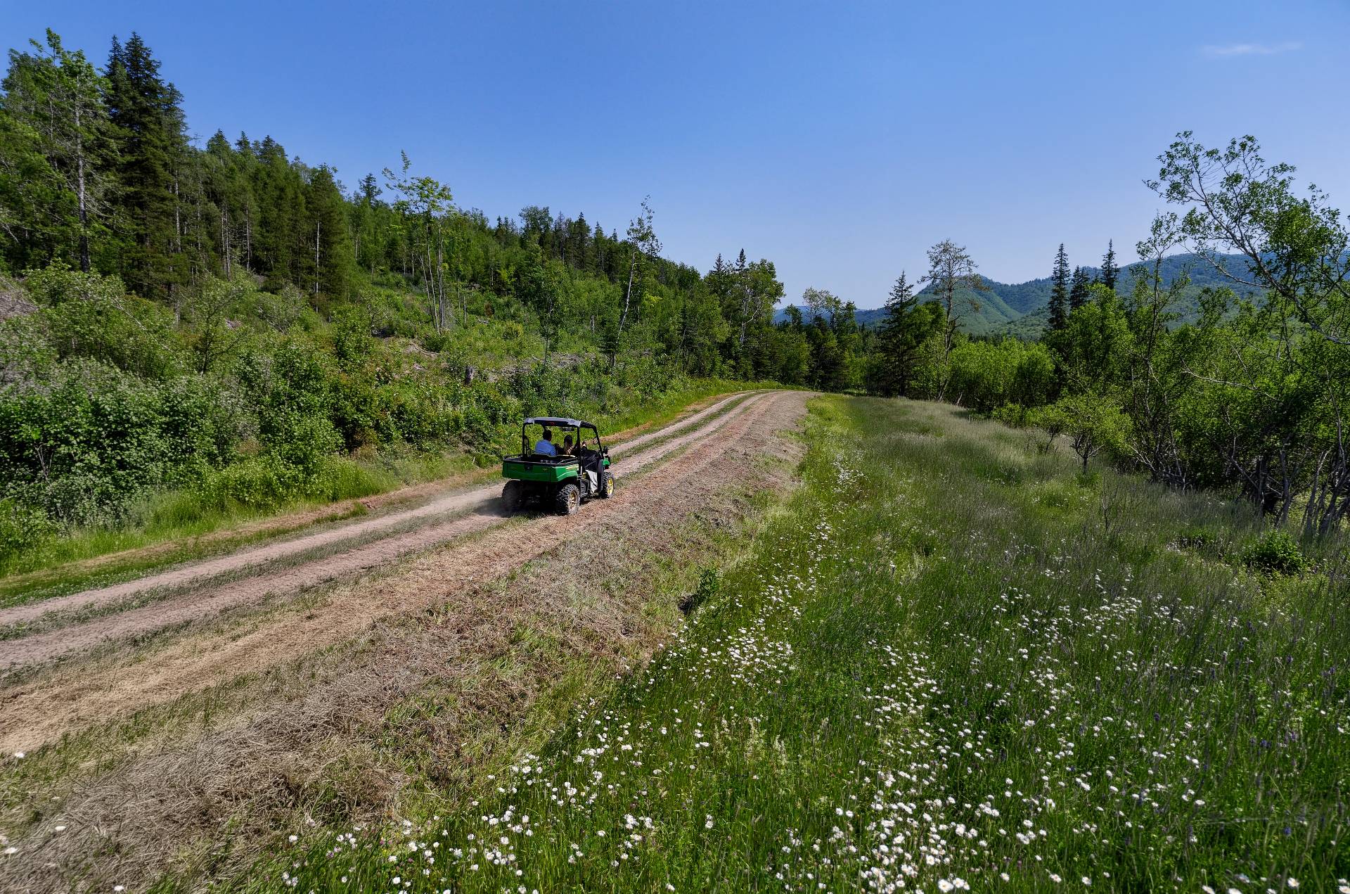 Sentier