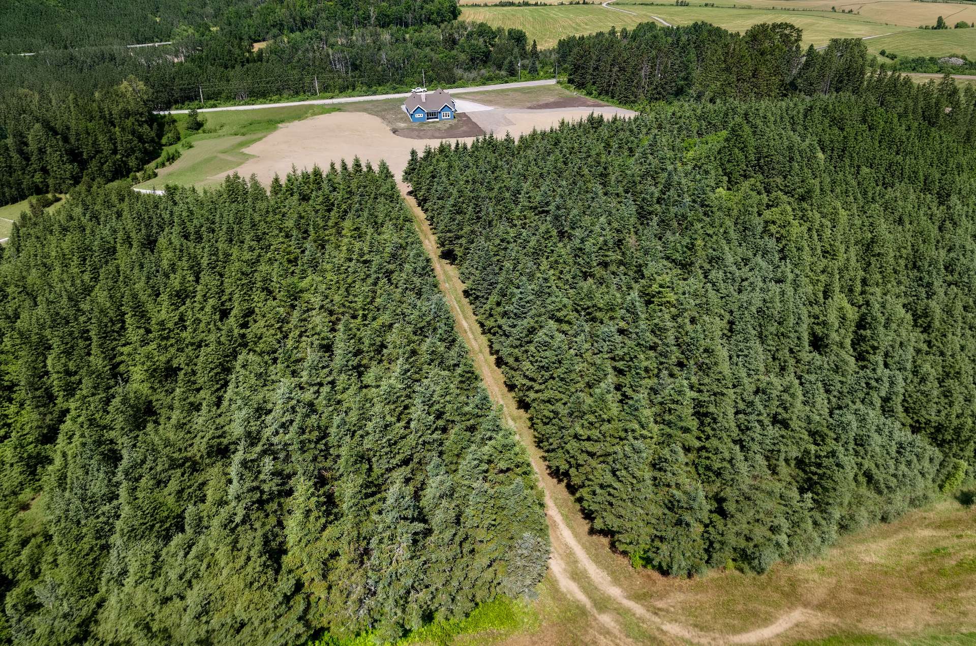Terre/Terrain
