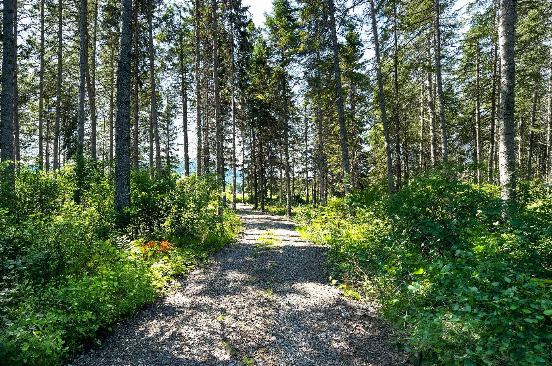Sentier