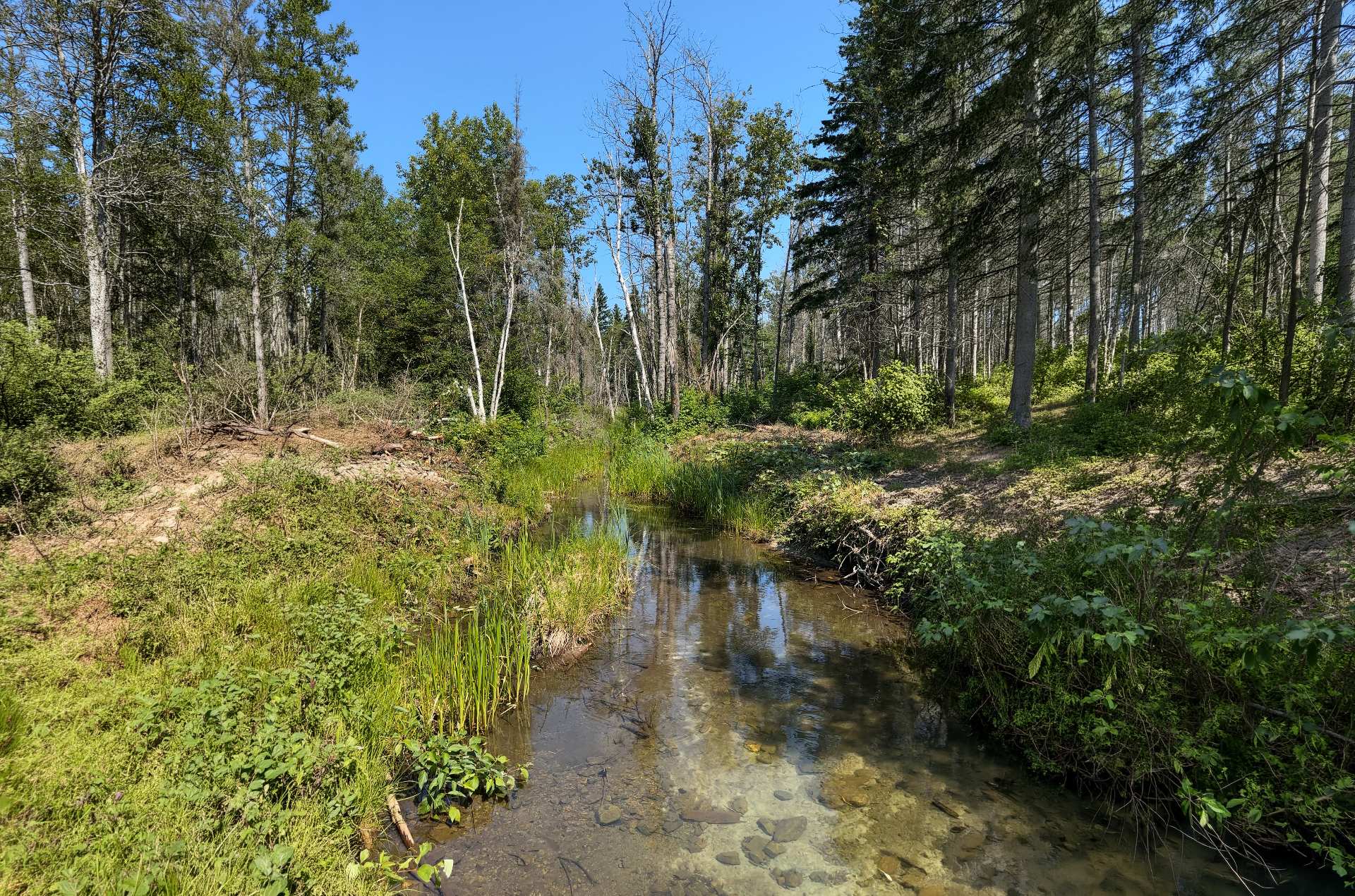 Rivière