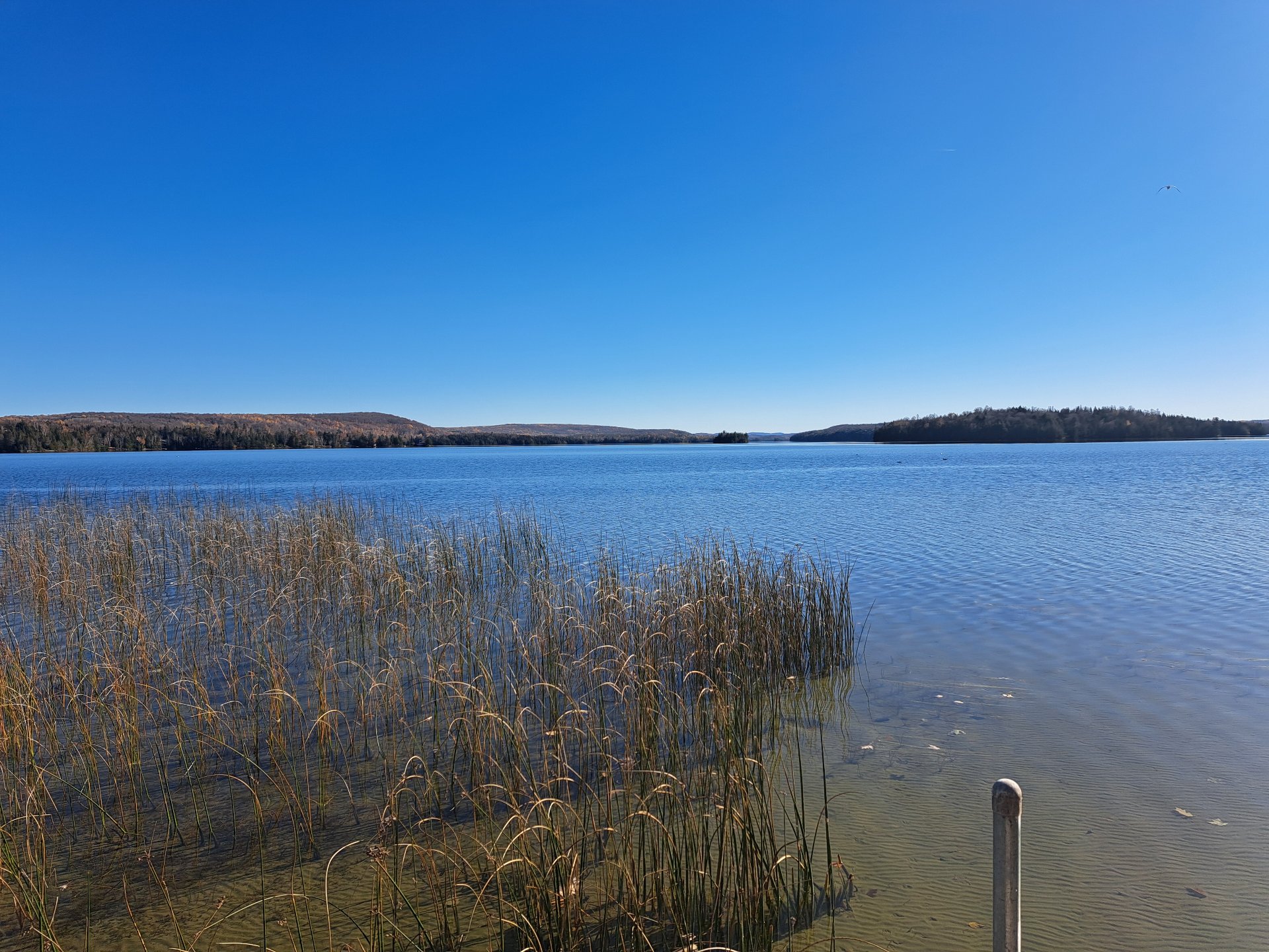 Water view