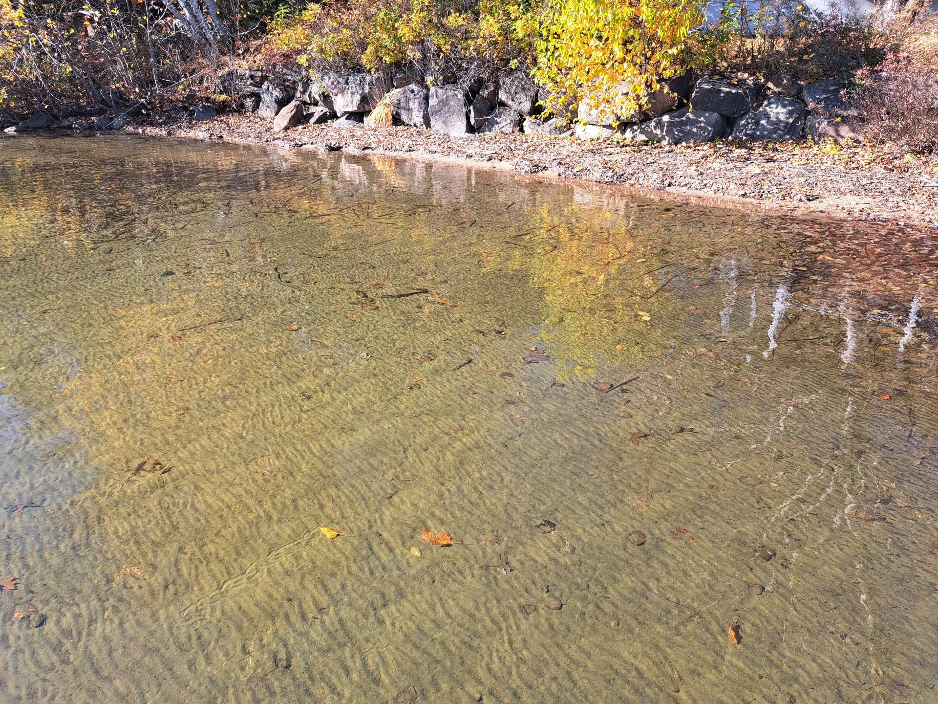 Bord de l'eau