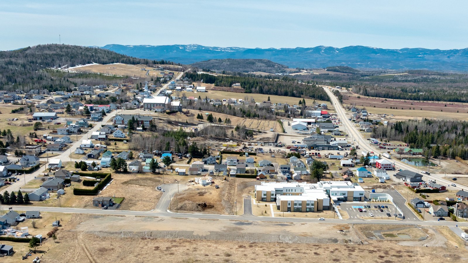 Overall View