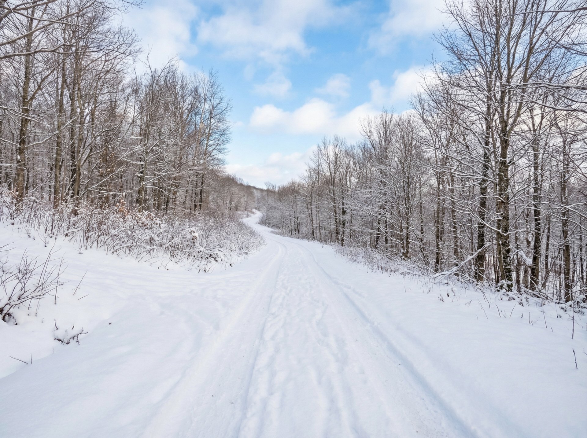 Land/Lot